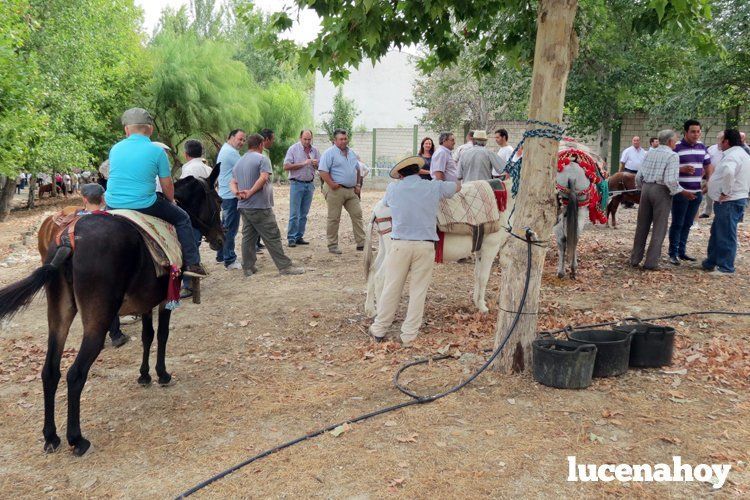  Este tradicional encuentro vuelve a consolidarse en la Feria del Valle. 