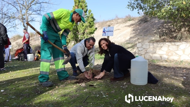 Plantación de uno de los árboles que componen el 'Bosque de las mil ramas' Plantación de uno de los árboles que componen el 'Bosque de las mil ramas'