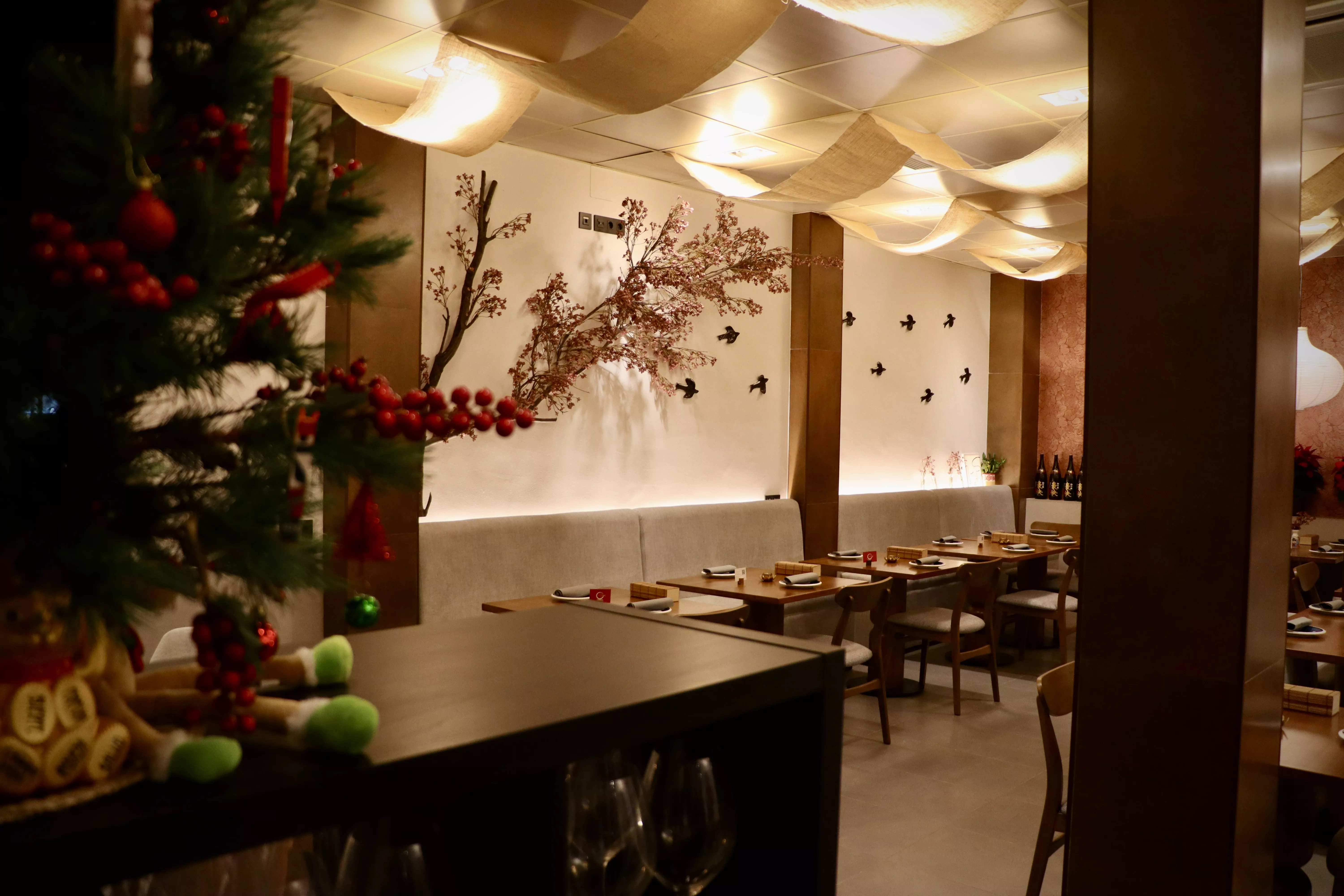 Inauguración Japanish