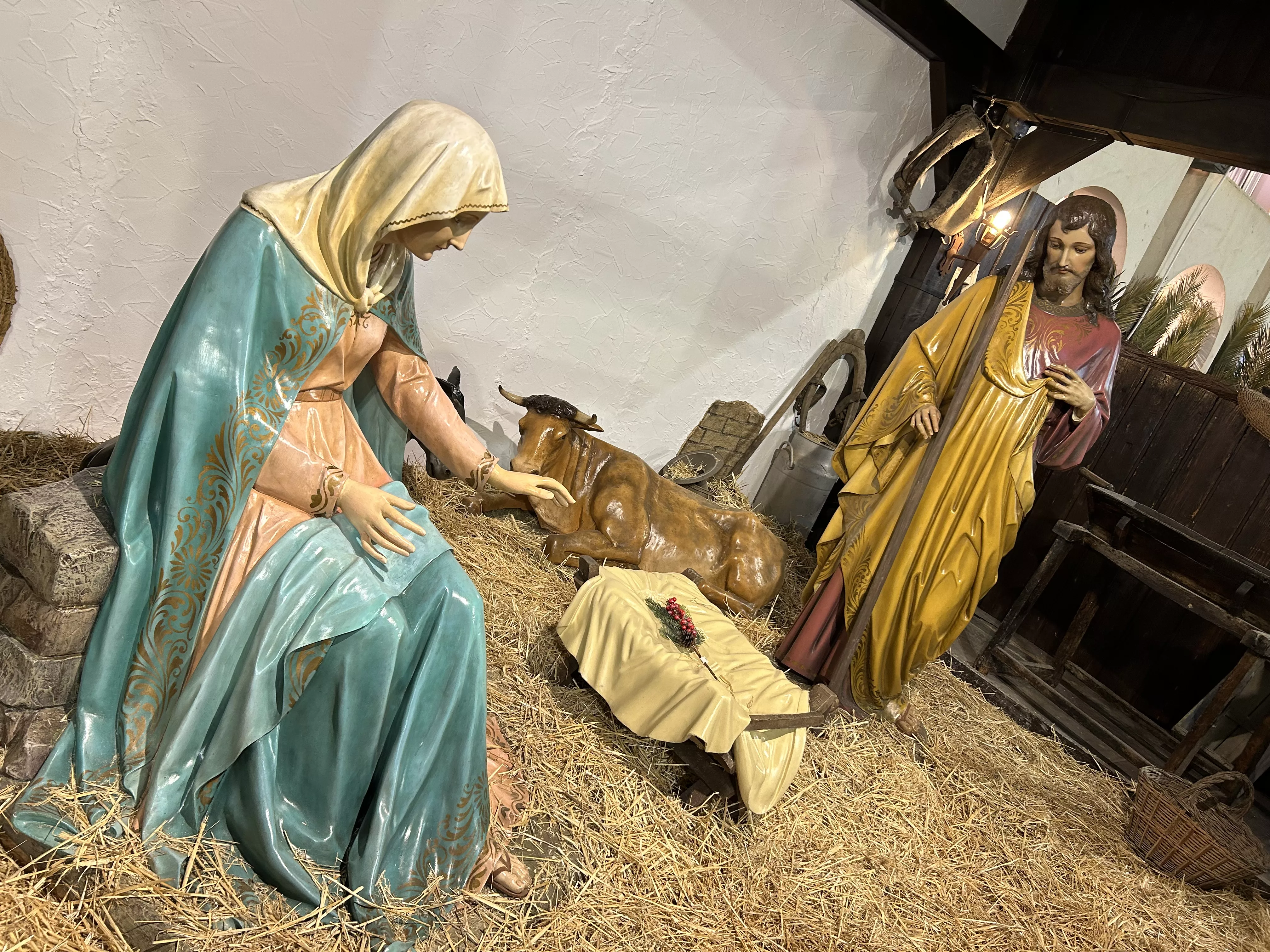 Las primeras imágenes del encendido del alumbrado especial de Navidad Las primeras imágenes del encendido del alumbrado especial de Navidad
