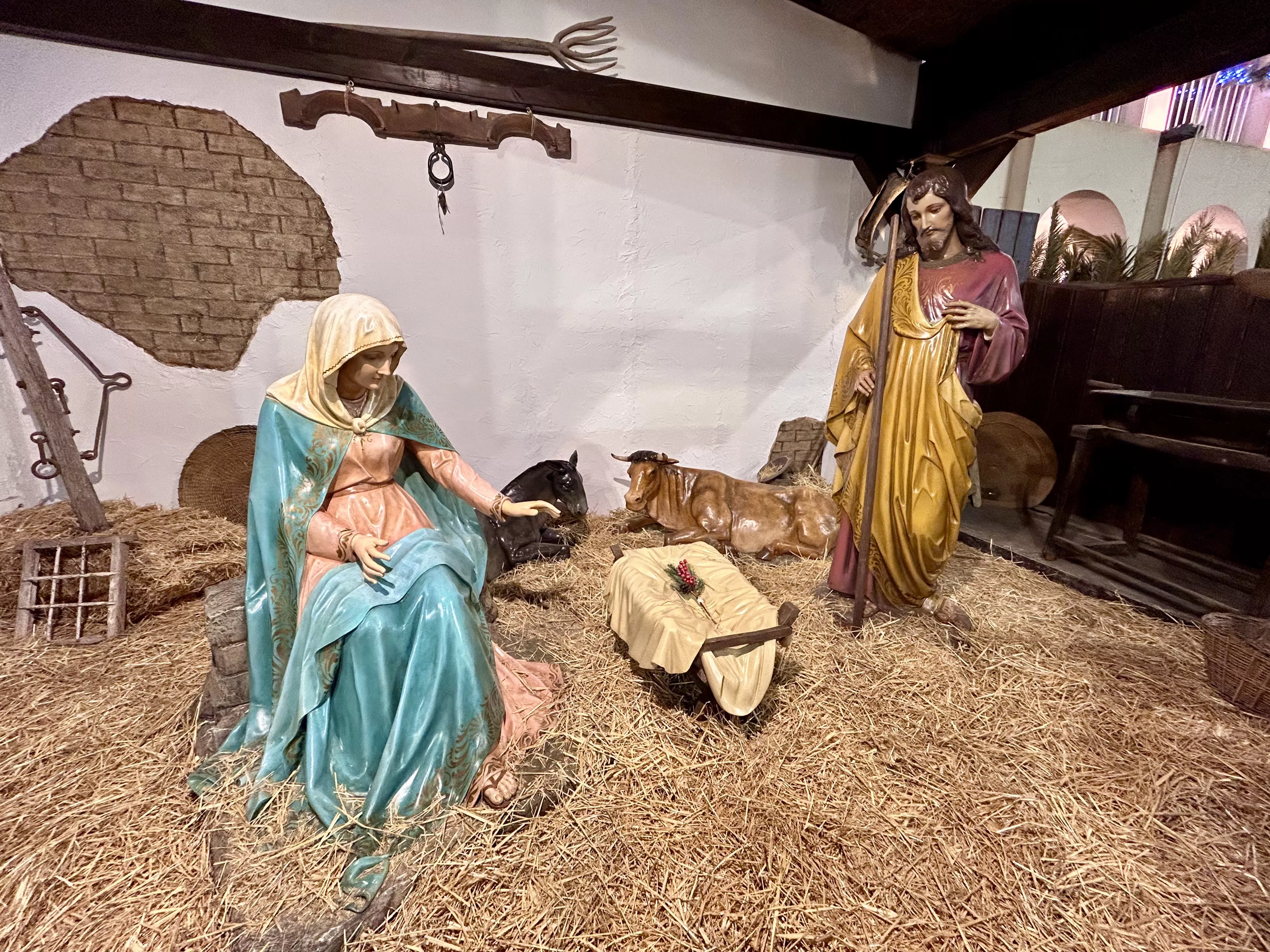 Las primeras imágenes del encendido del alumbrado especial de Navidad Las primeras imágenes del encendido del alumbrado especial de Navidad