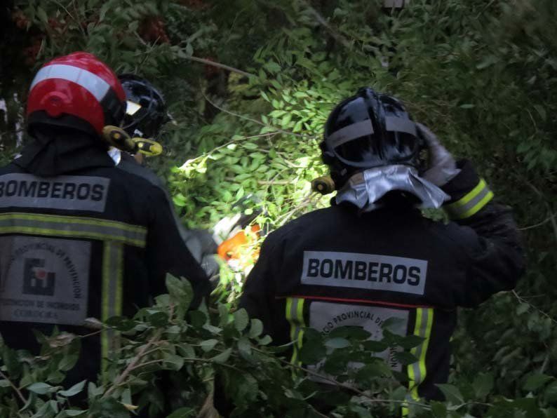 Galería de fotos: Caída de un árbol en el Paseo de Rojas