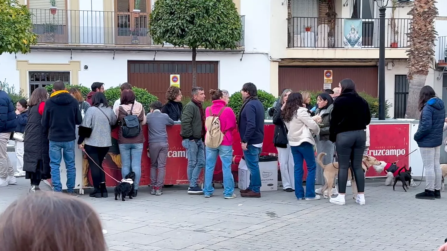San Antón 29 San Antón 29