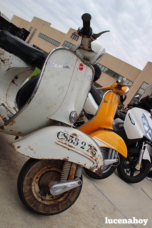 Galería: Una, dos, tres... quinientas Vespas Galería: Una, dos, tres... quinientas Vespas