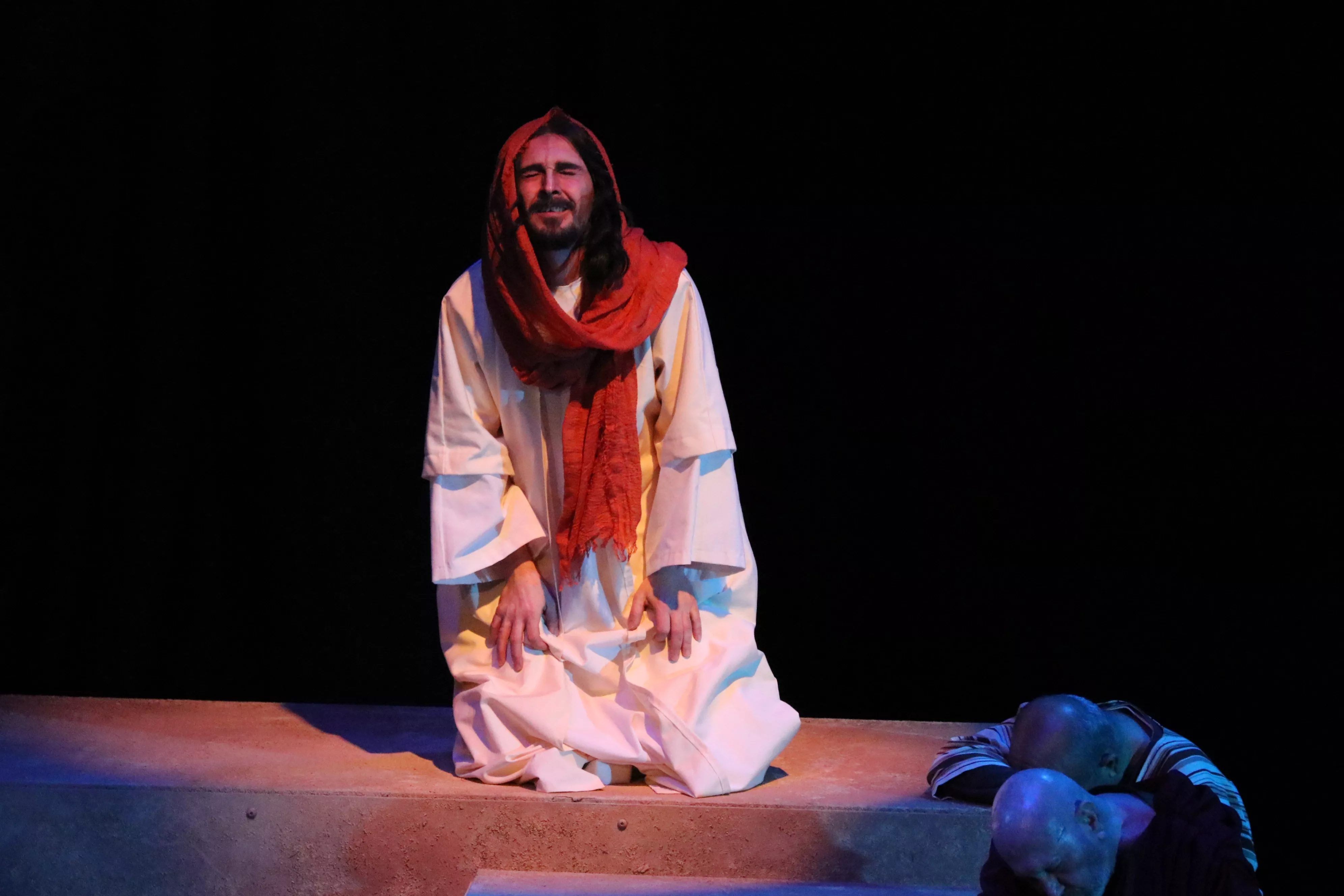La Pasión de Cristo