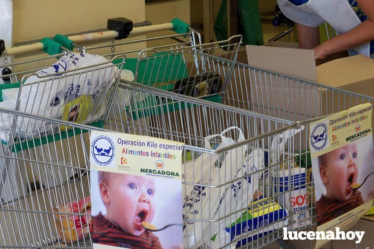  Los responsables del Banco de Alimentos se identificarán con unos petos corporativos. 