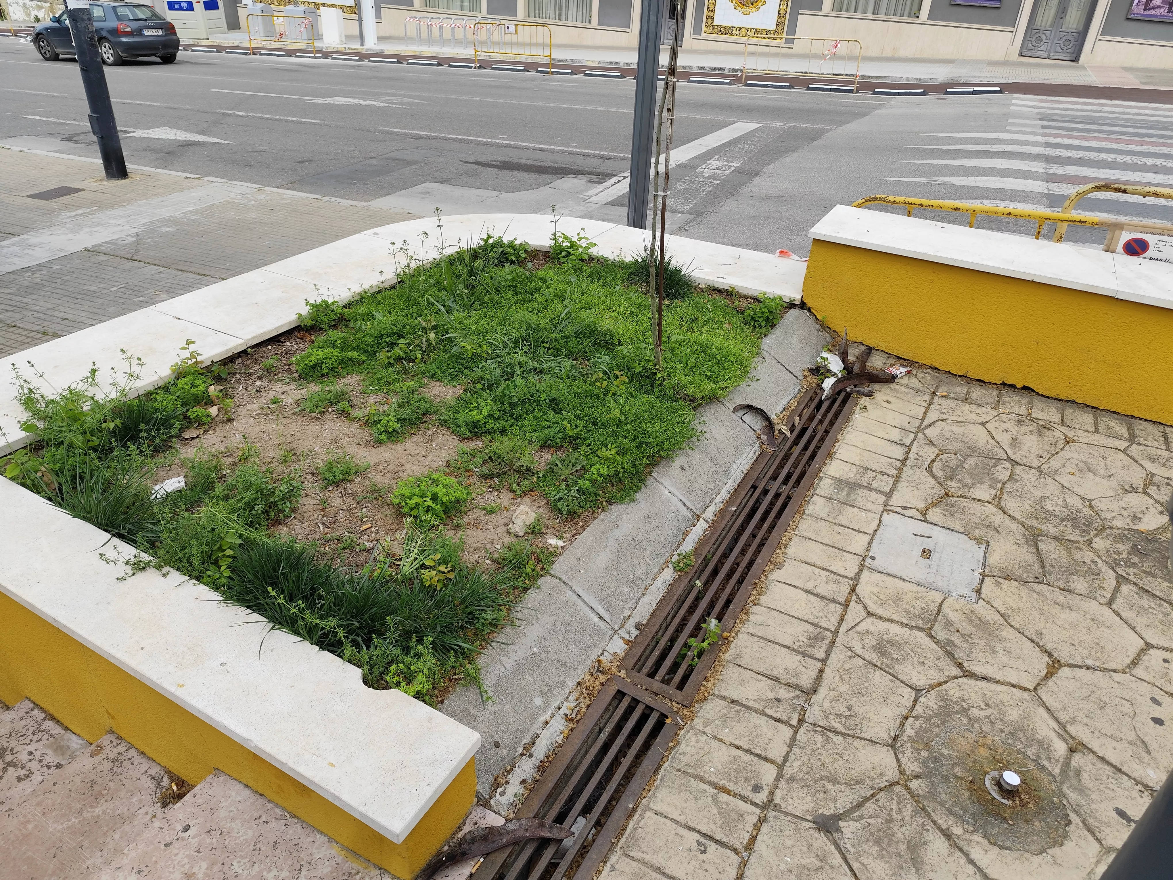 Un jardín en el Paseo de Rojas