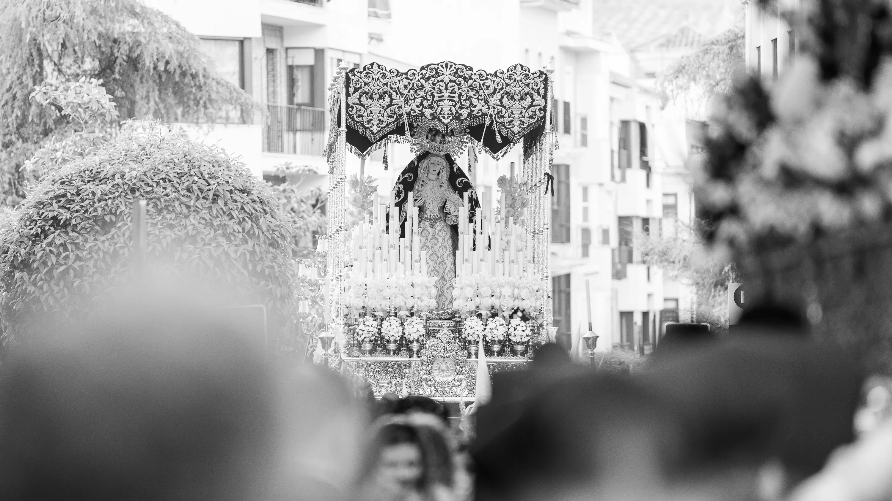Lunes Santo 2025 Cofradía de Pasión (33) Lunes Santo 2025 Cofradía de Pasión (33)