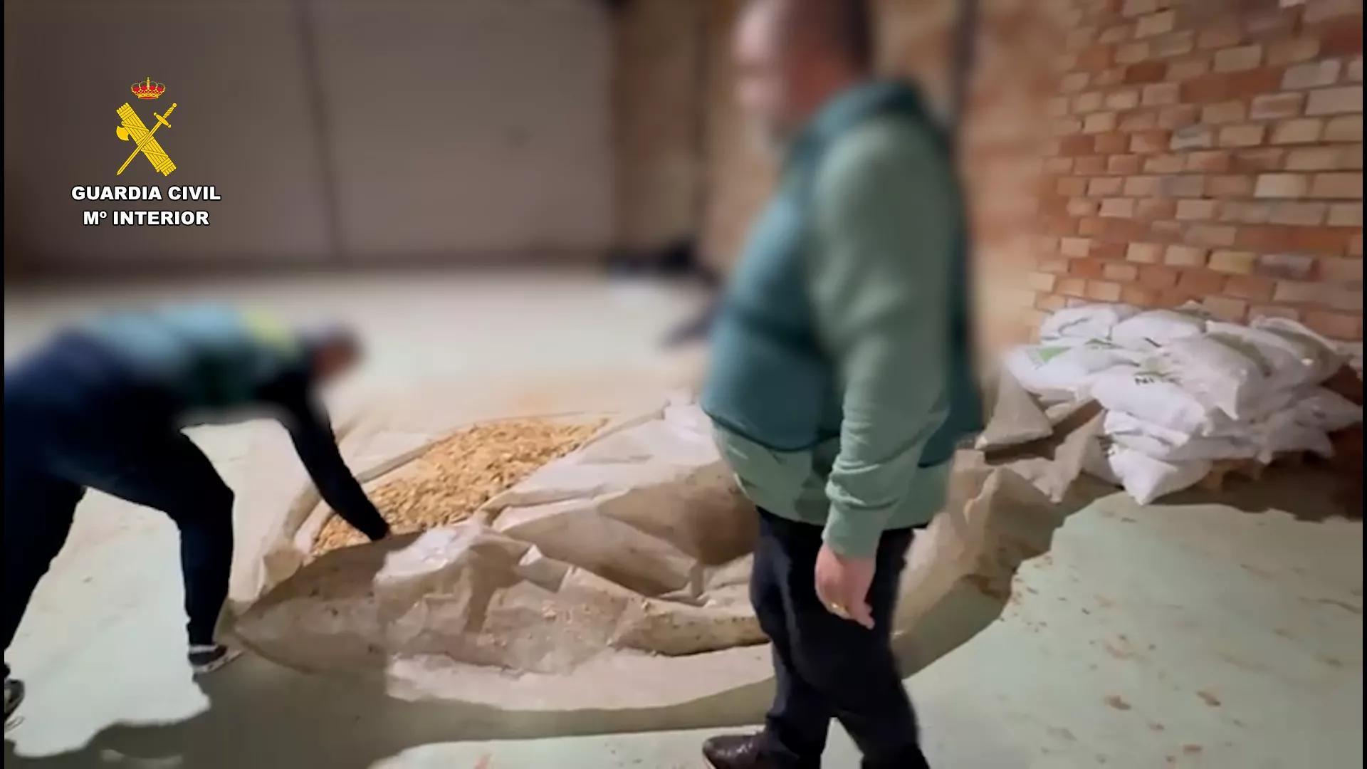 Parte de la picadura de tabaco intervenida en este operativo. Foto: Guardia Civil