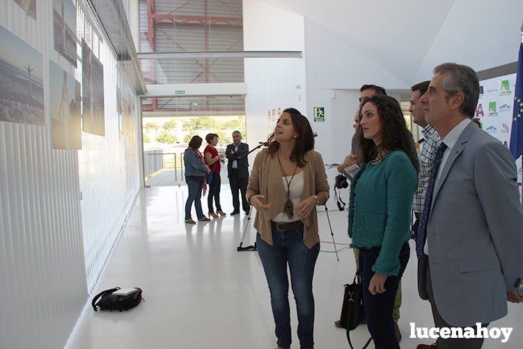 "Ronrona", un recorrido por la interesante exposición de Tamara López en el Auditorio Municipal