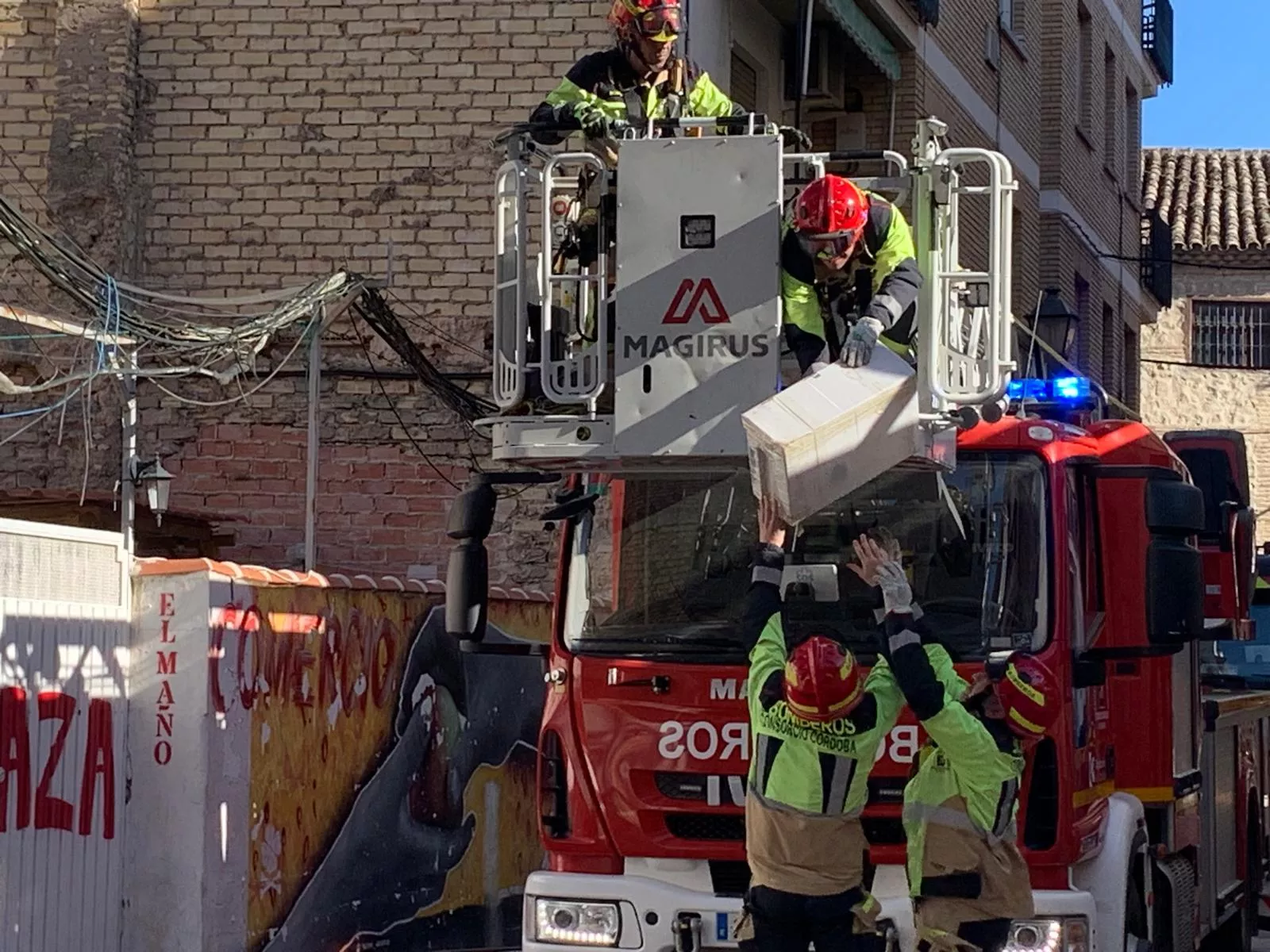 Rescate de un cernícalo en la calle Jaime