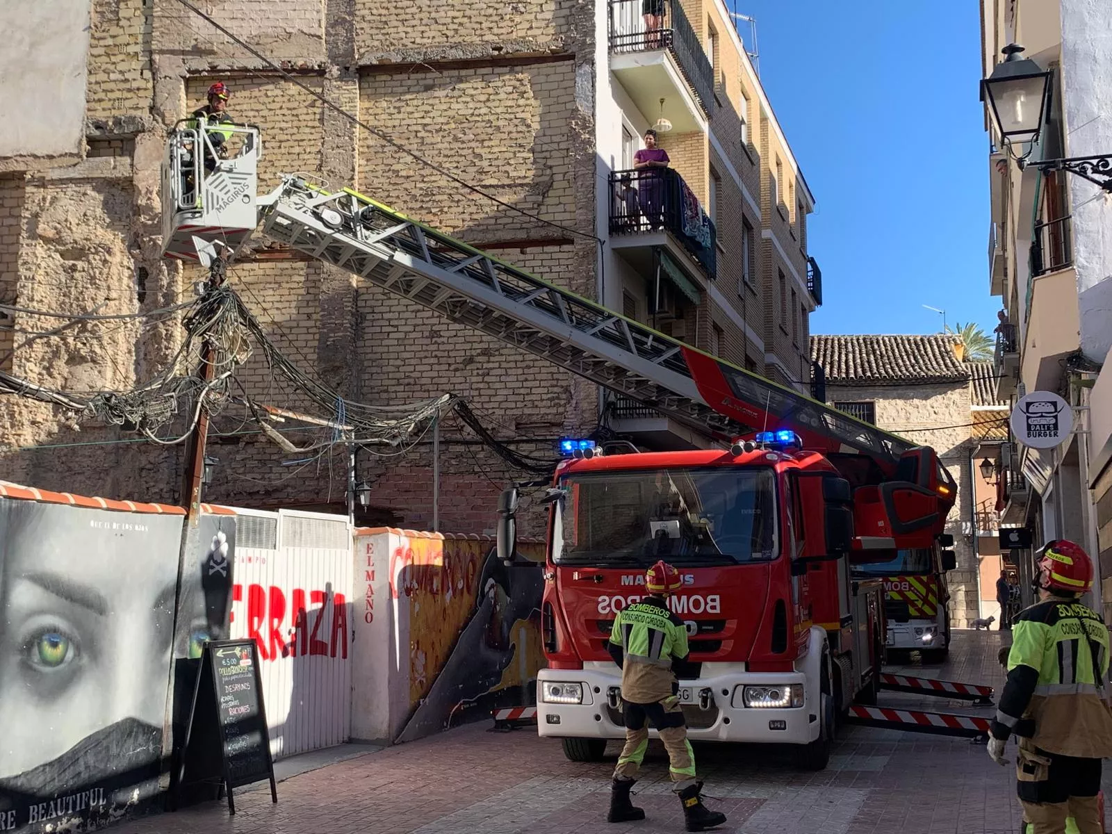 Rescate de un cernícalo en la calle Jaime
