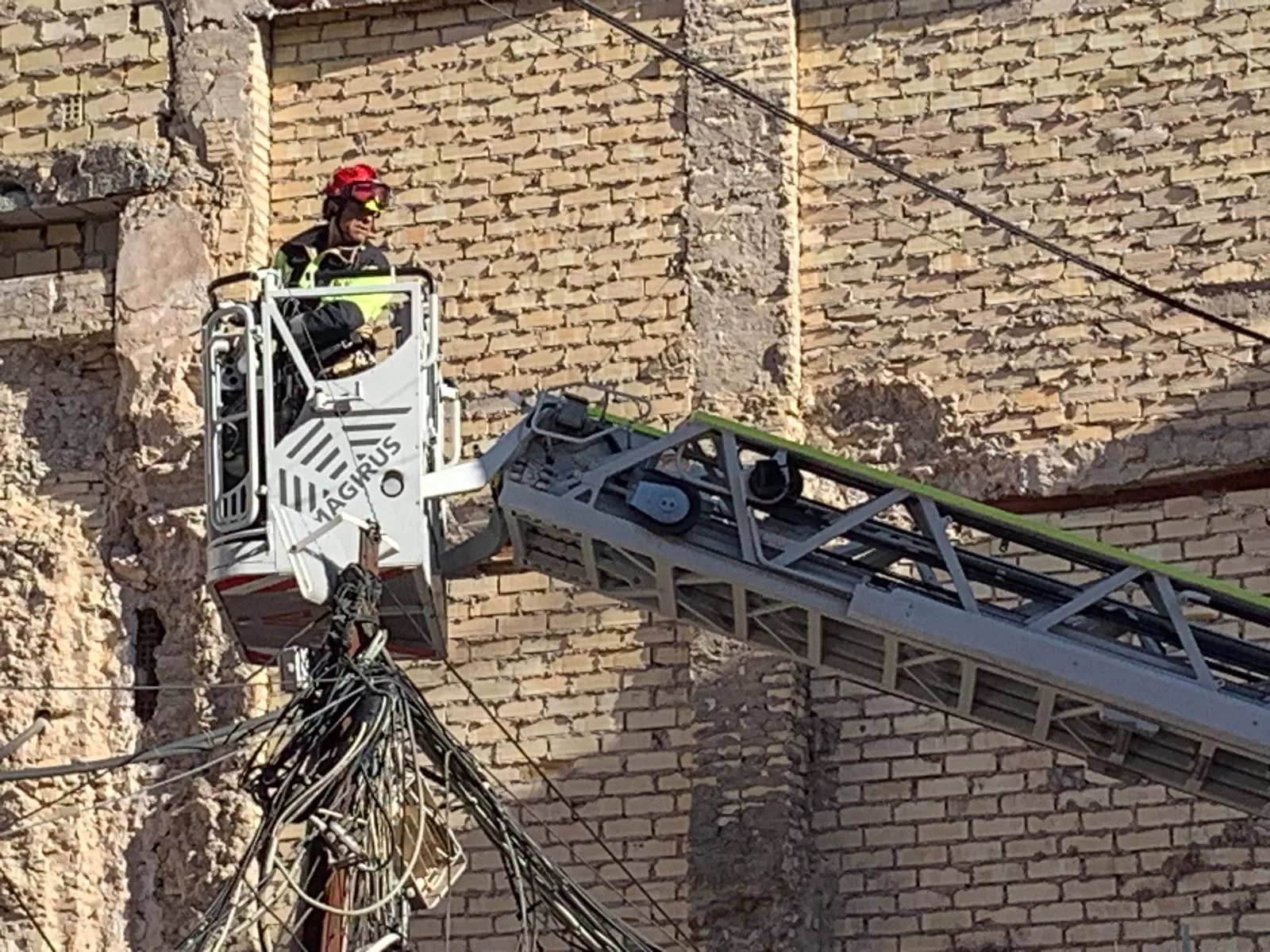 Rescate de un cernícalo en la calle Jaime