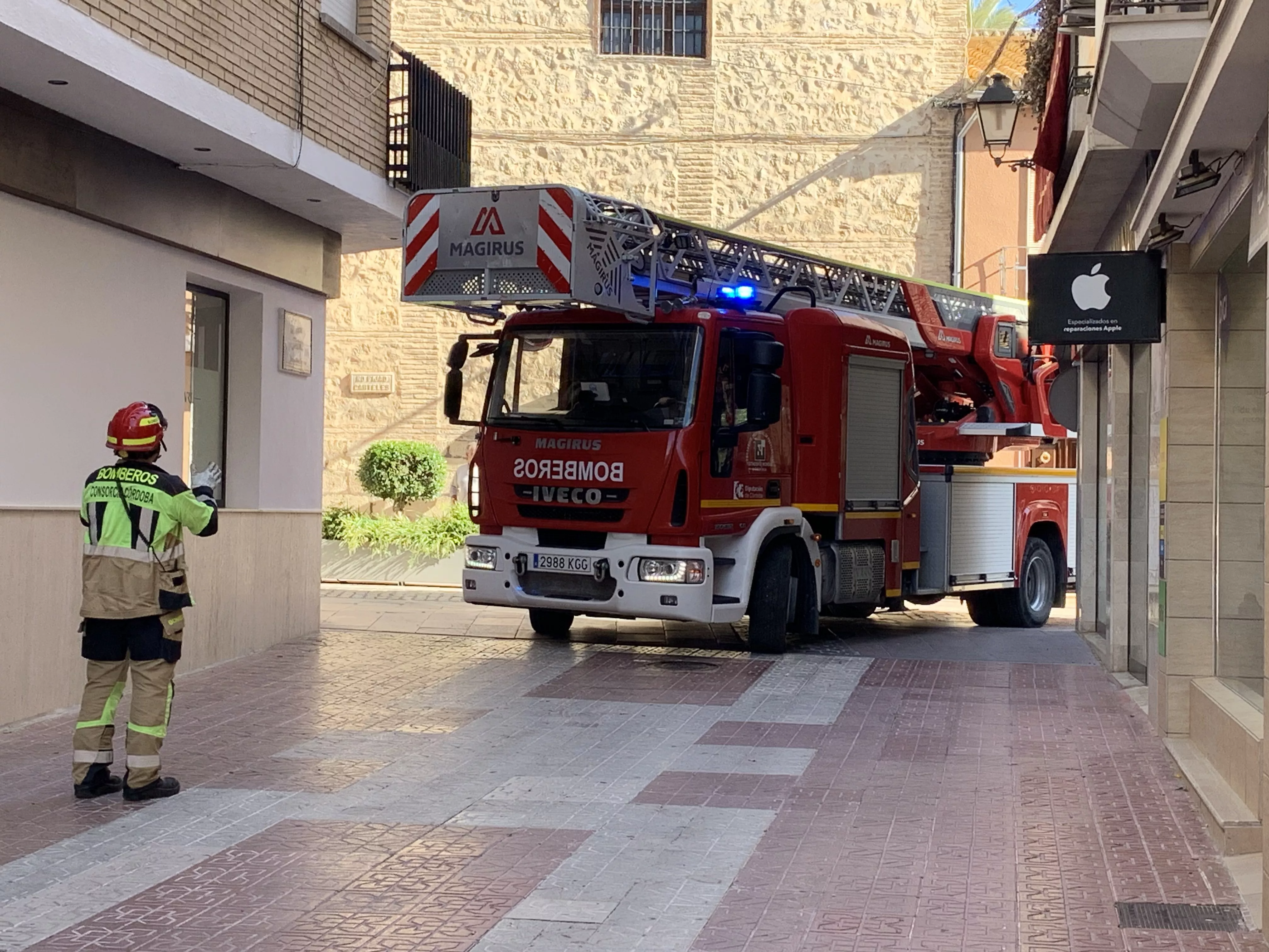 Rescate de un cernícalo en la calle Jaime