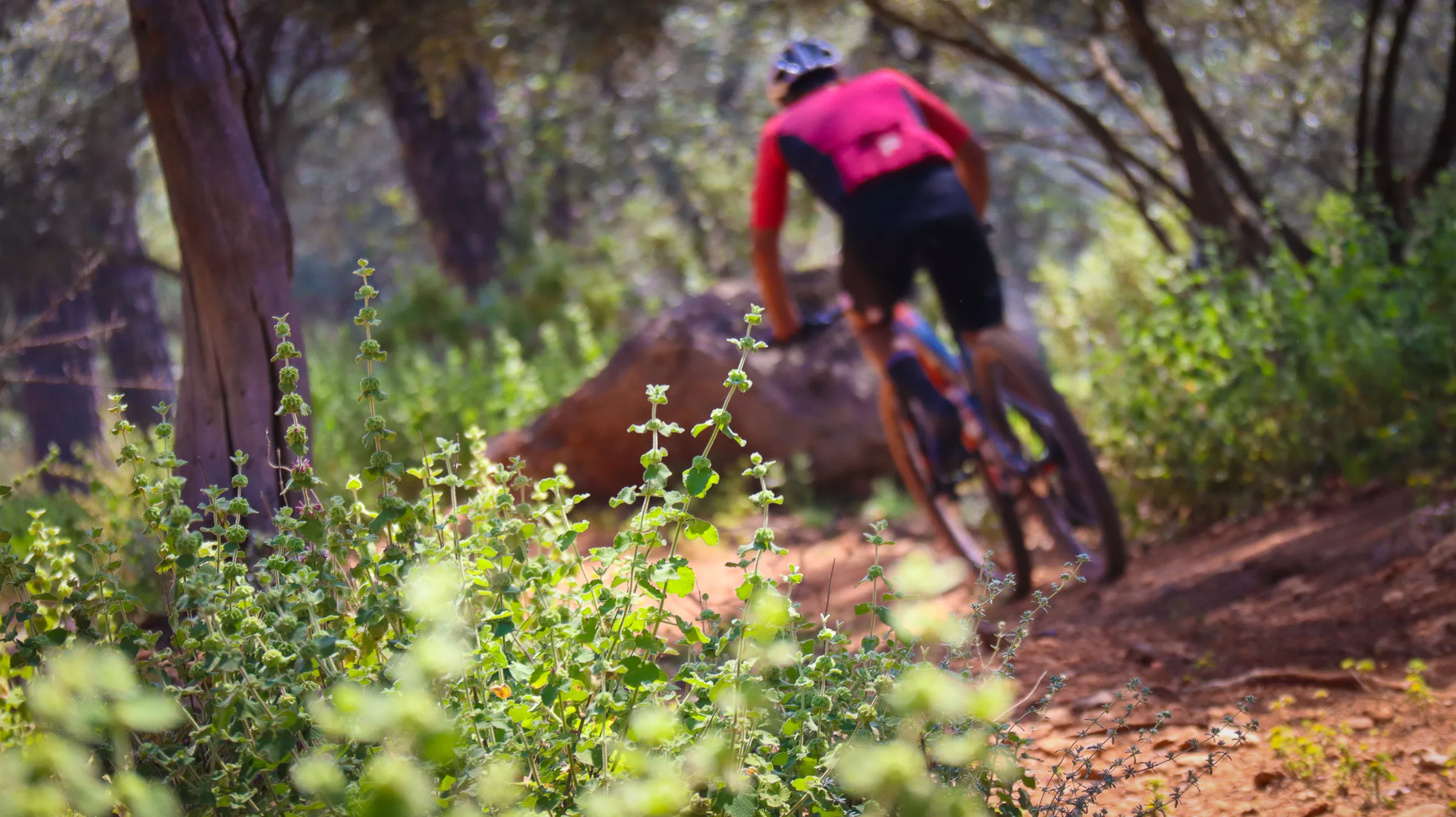 XXX MTB Ciudad de Lucena 113