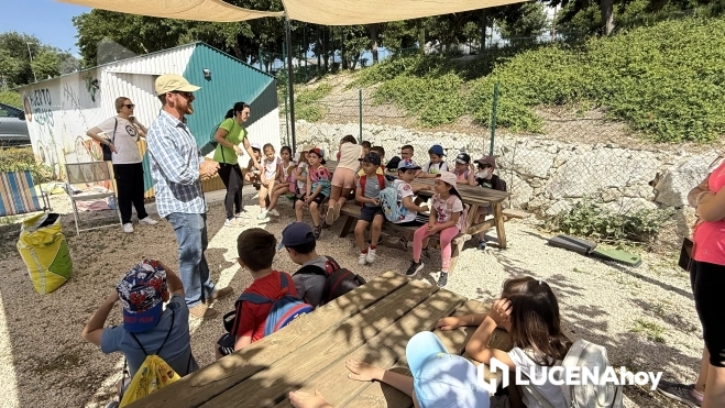 Alumnos del CEIP Antonio Machado asisten a la actividad en el reciento de Huertos Urbanos Alumnos del CEIP Antonio Machado asisten a la actividad en el reciento de Huertos Urbanos