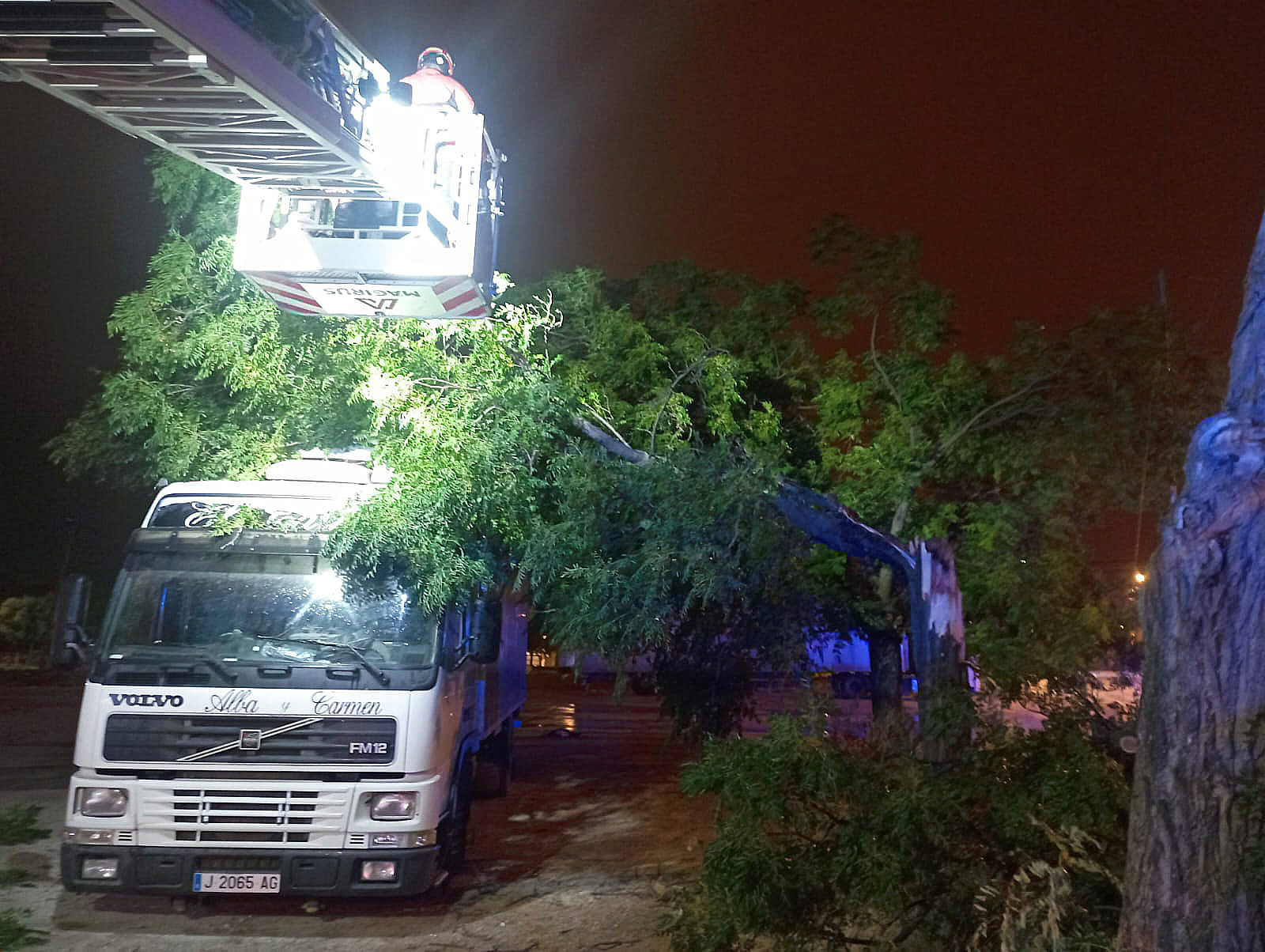 Una rama de gran tamaño ha caído sobre un camión estacionado en la calle del Aceite