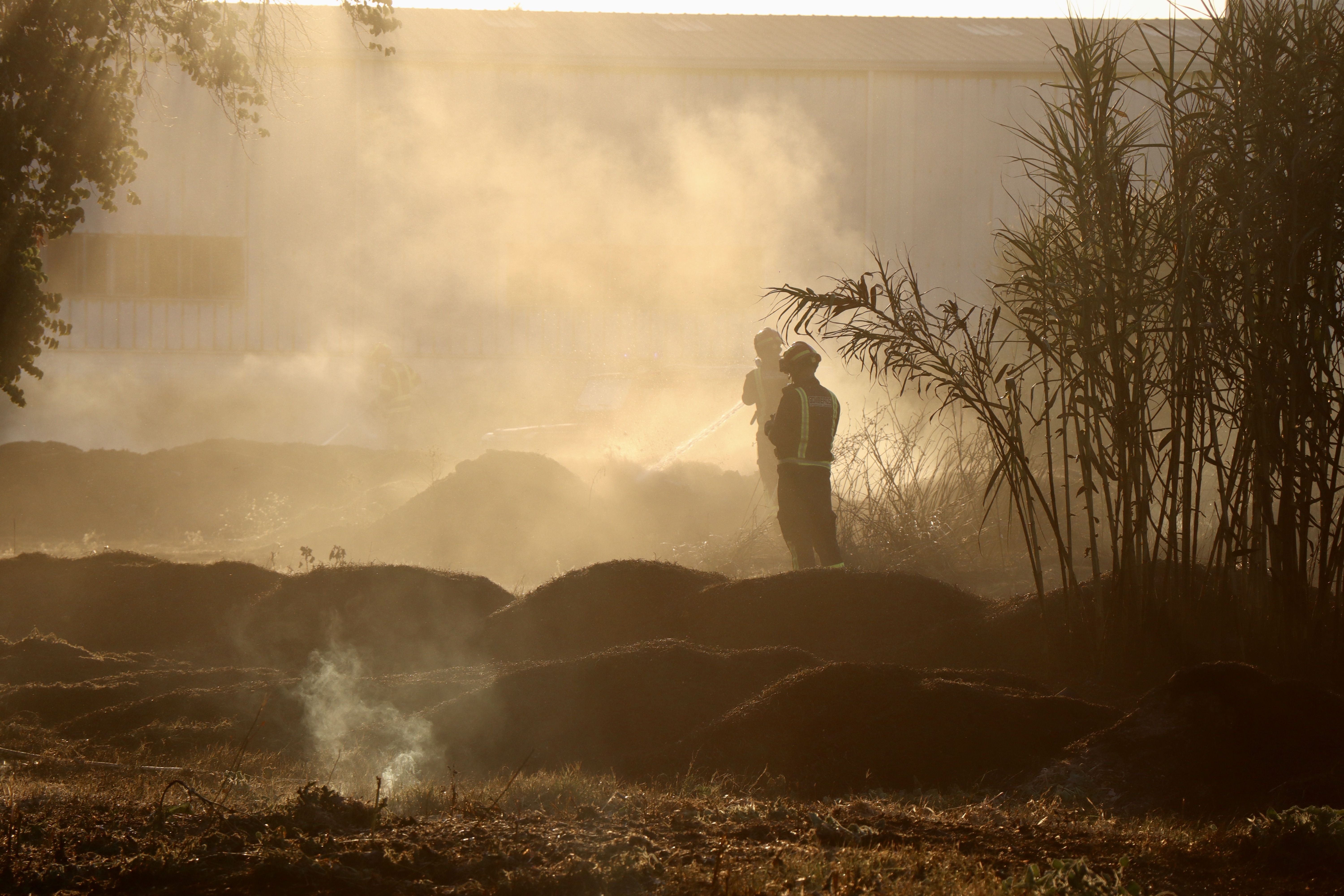 Incendio de pastos en El Cascajar