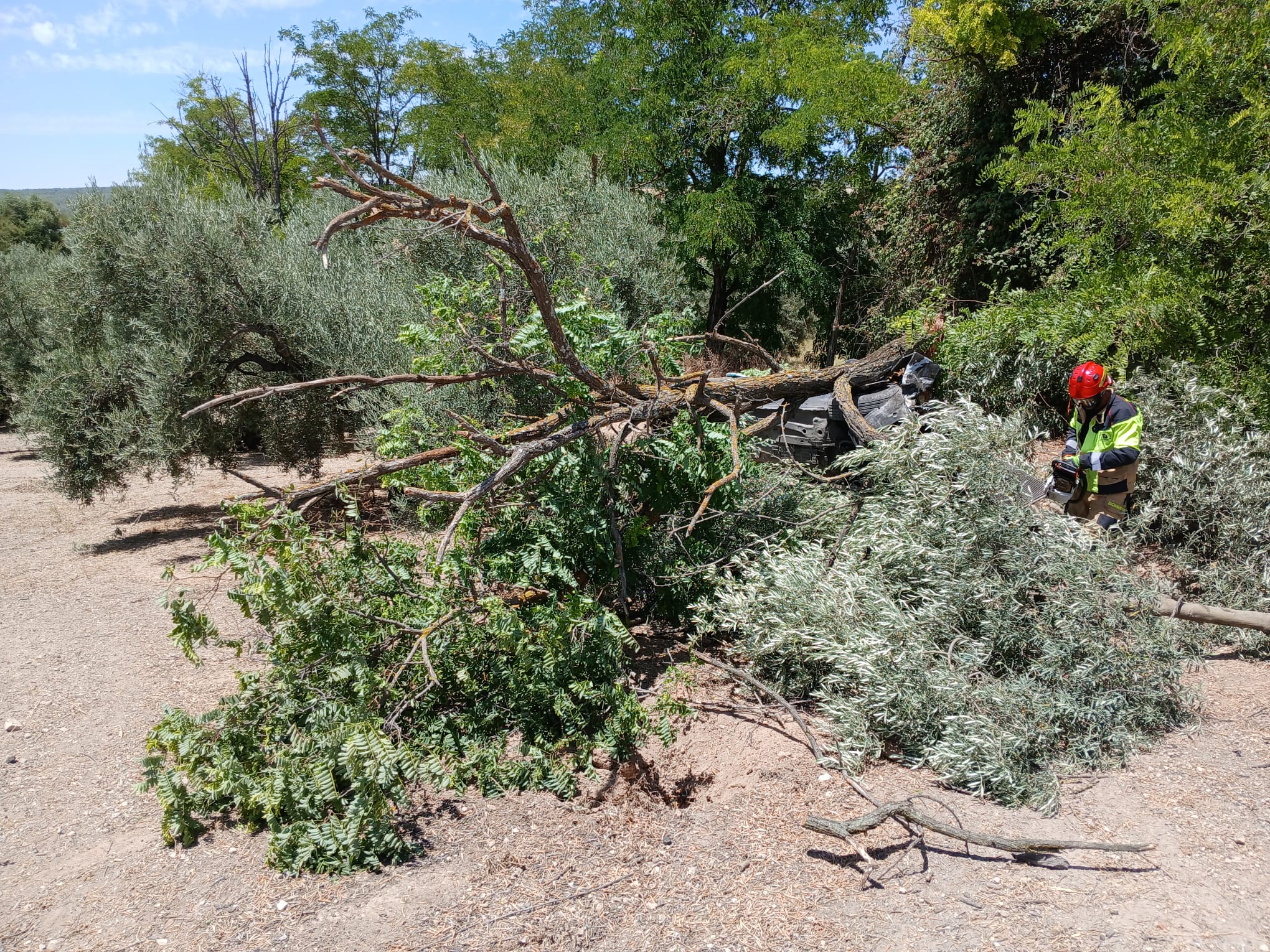 Accidente de tráfico en la N331 de Lucena