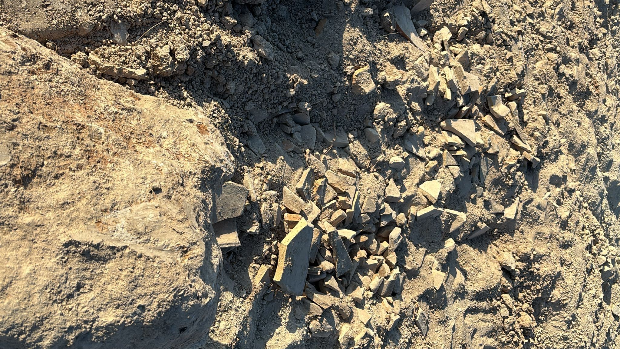 Abundante material cerámico de posible origen romano aparecido durante los movimientos de tierras de la planta fotovoltaica
