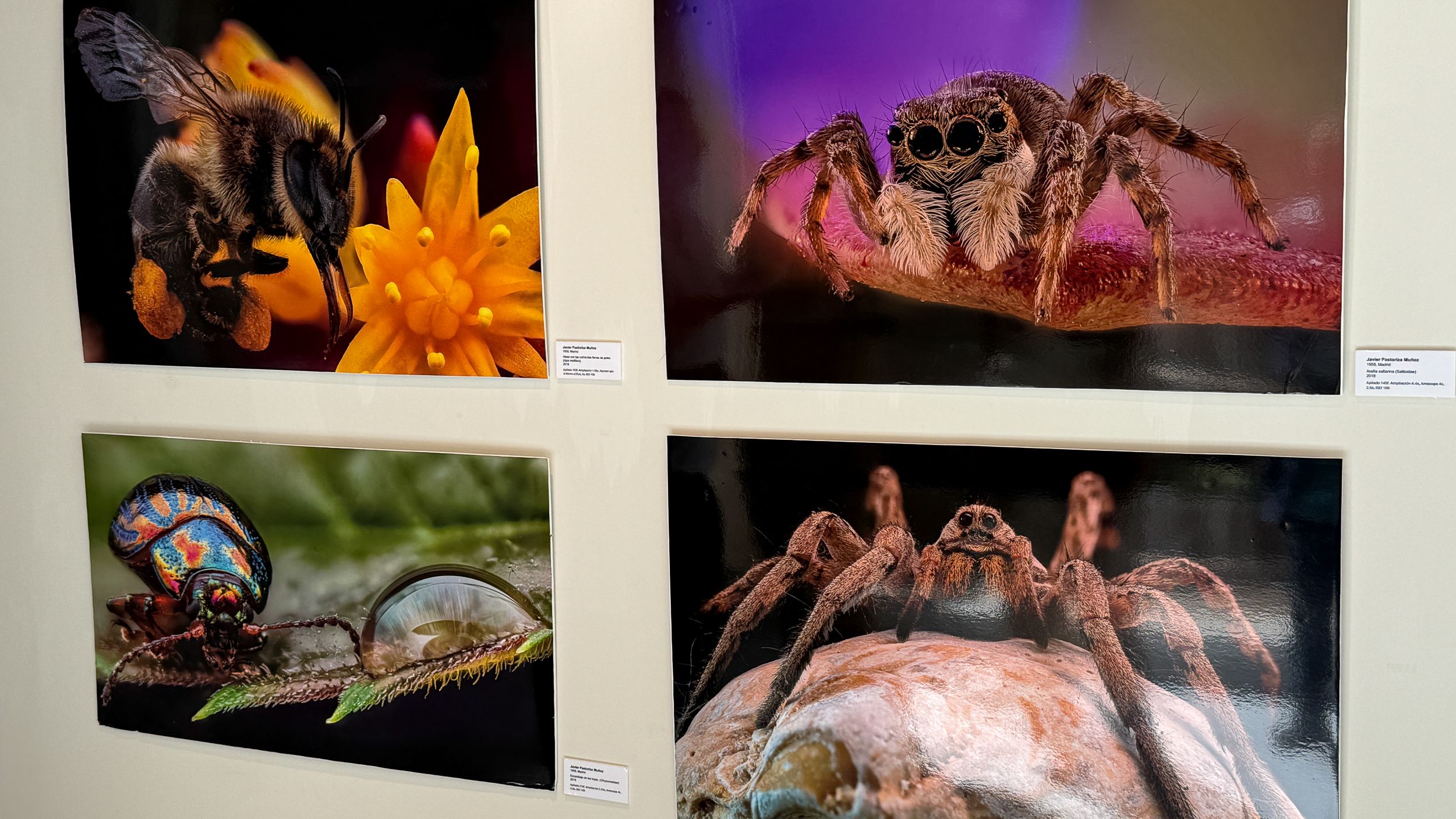 Exposición fotográfica de Javier Pastoriza Muñoz