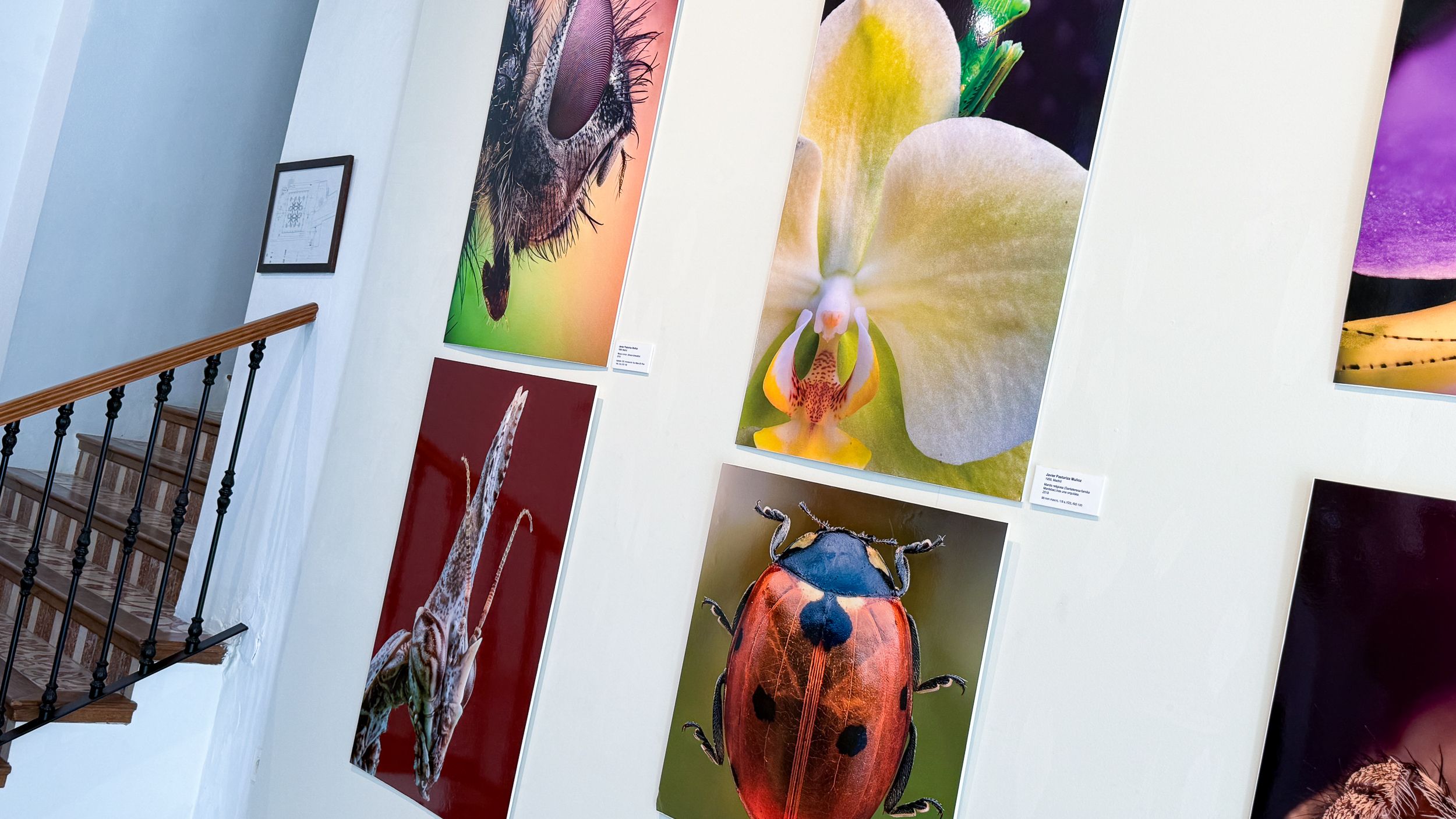 Exposición fotográfica de Javier Pastoriza Muñoz