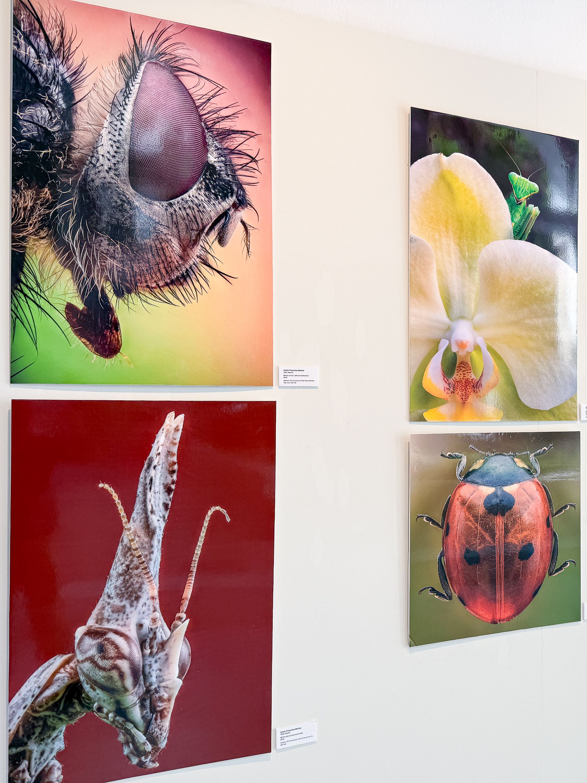 Exposición fotográfica de Javier Pastoriza Muñoz