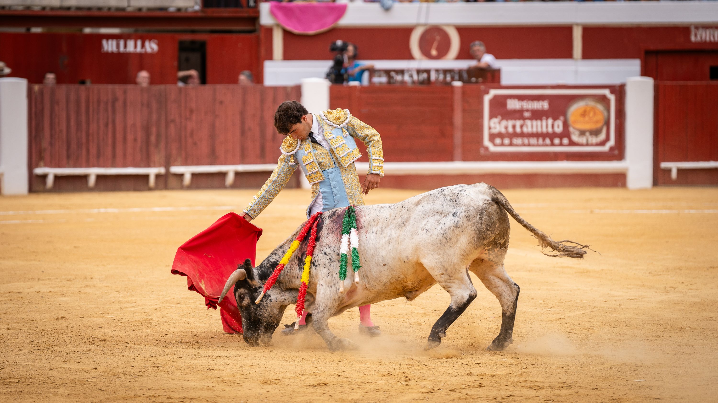 Final Ciclo Becerradas 2025 (37)