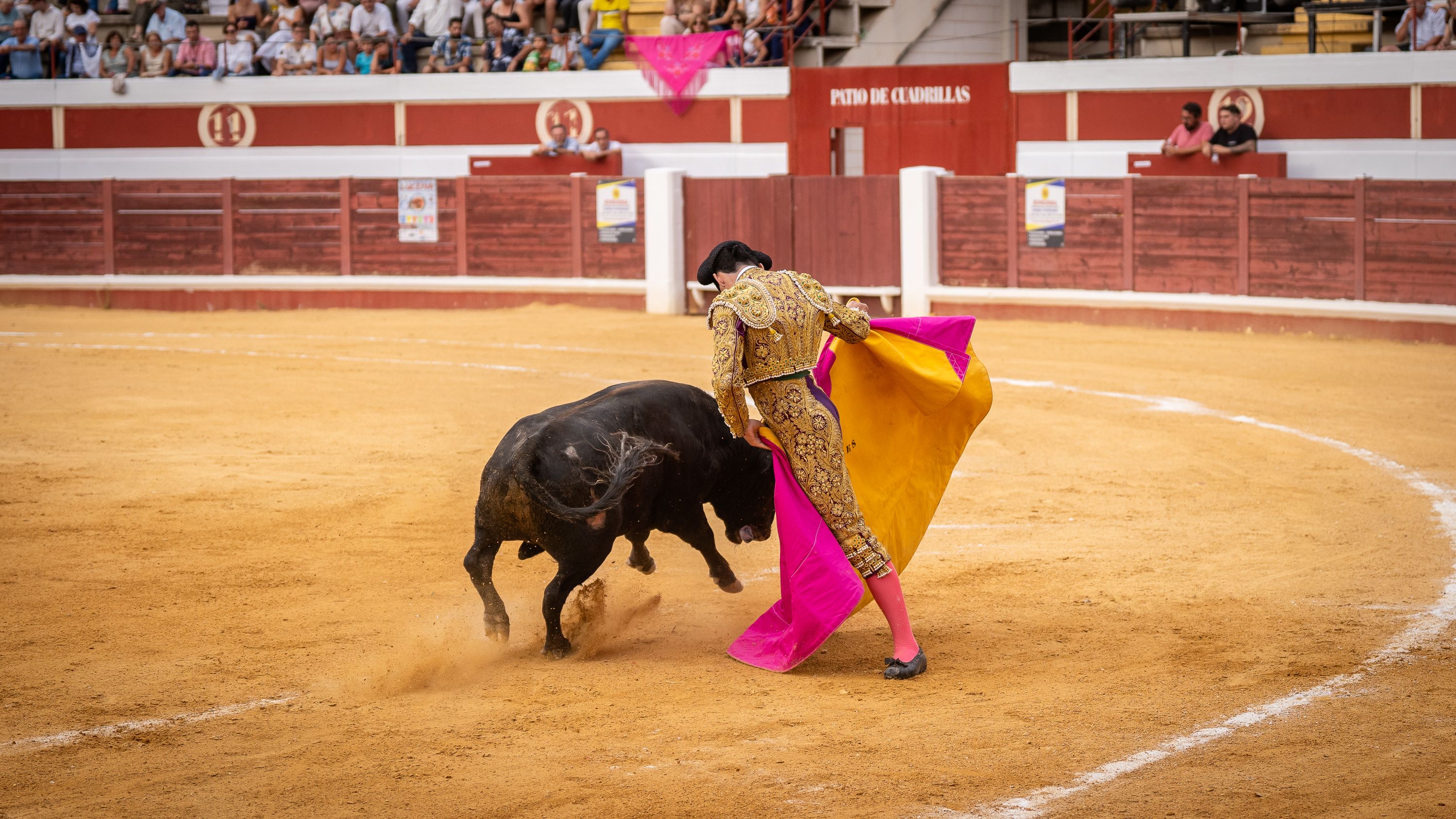 Final Ciclo Becerradas 2025 (45)