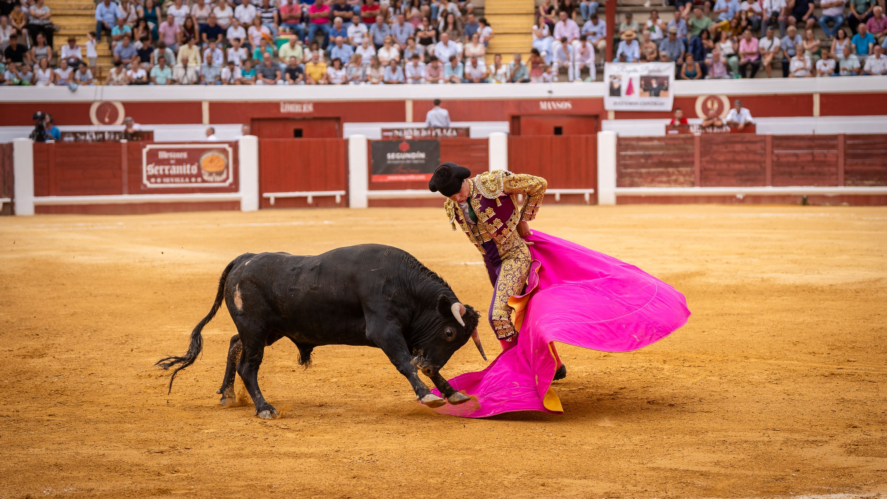 Final Ciclo Becerradas 2025 (46)