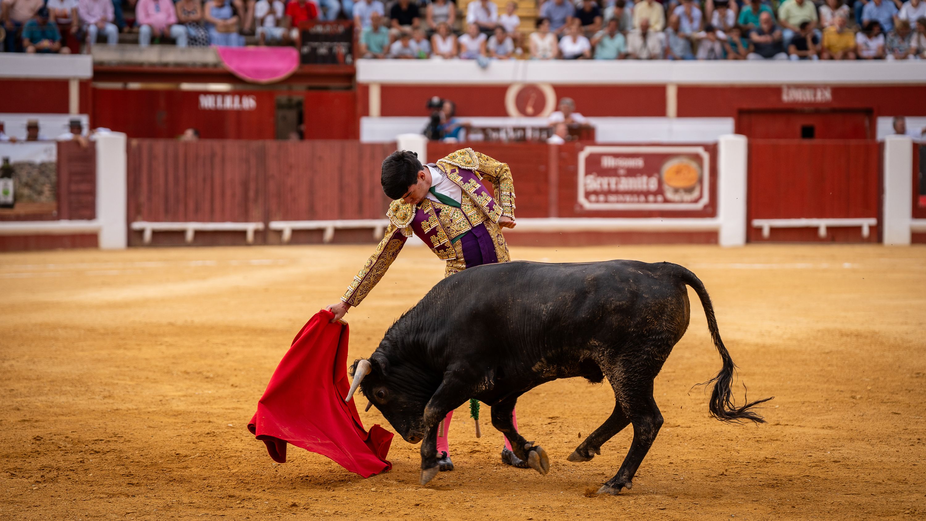Final Ciclo Becerradas 2025 (49)