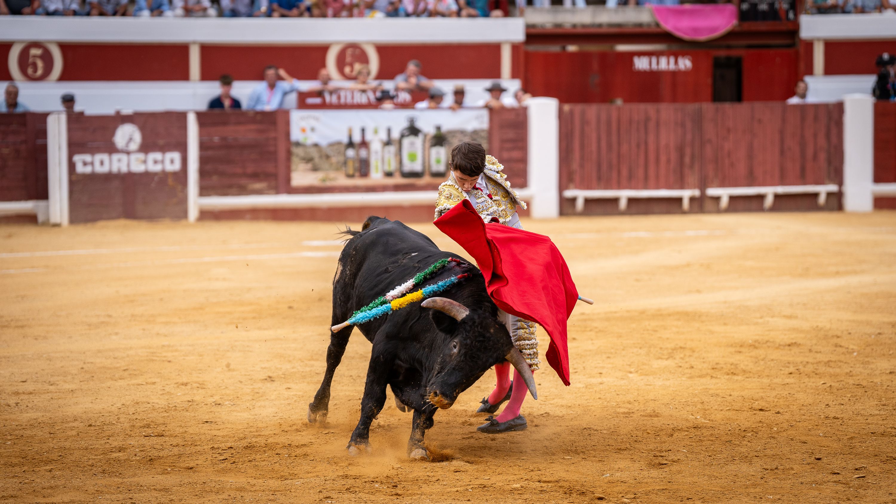 Final Ciclo Becerradas 2025 (61)