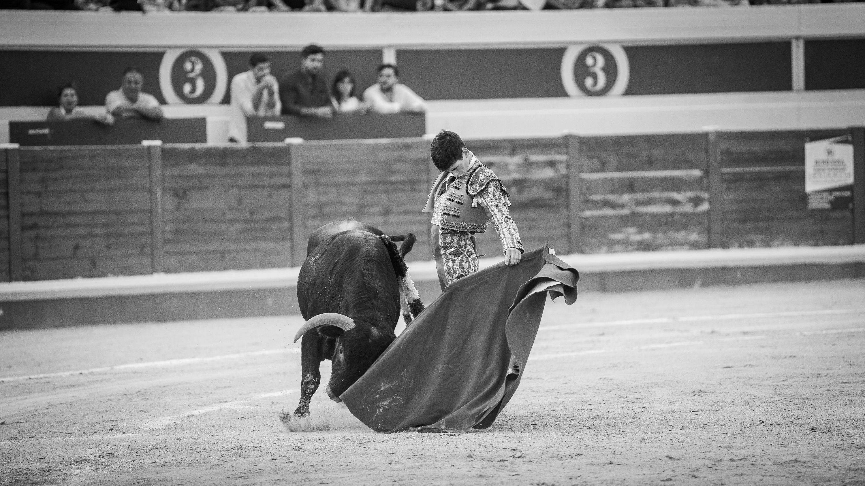 Final Ciclo Becerradas 2025 (73)