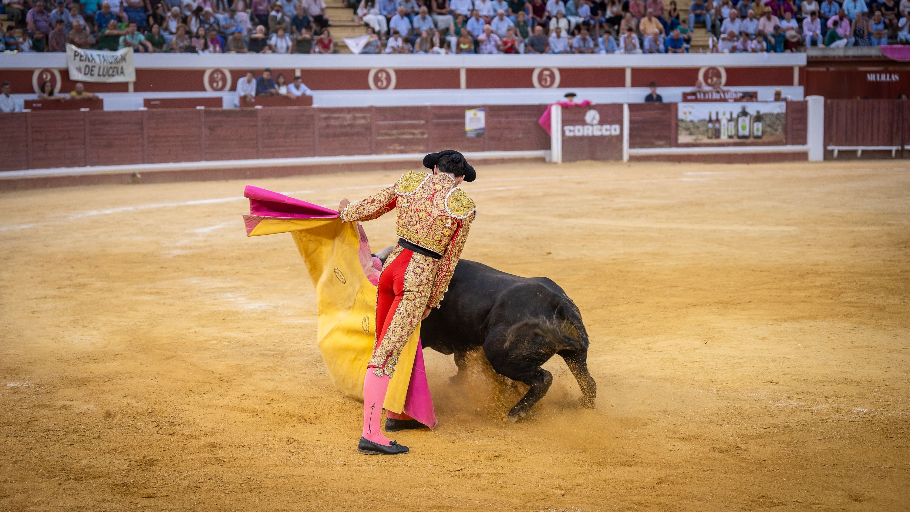 Final Ciclo Becerradas 2025 (77)