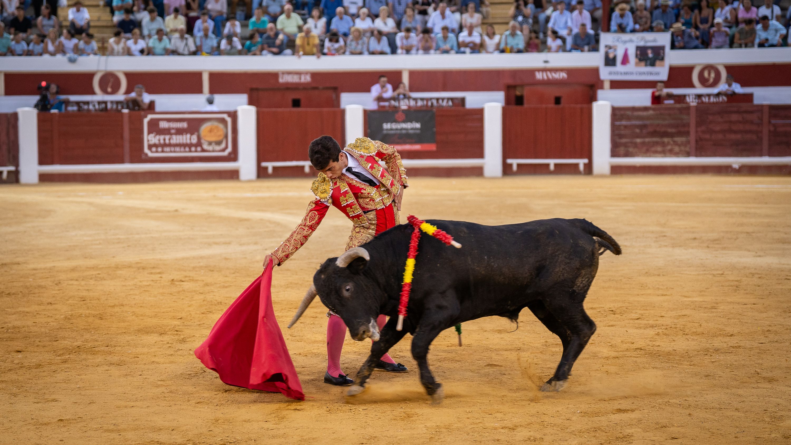 Final Ciclo Becerradas 2025 (80)