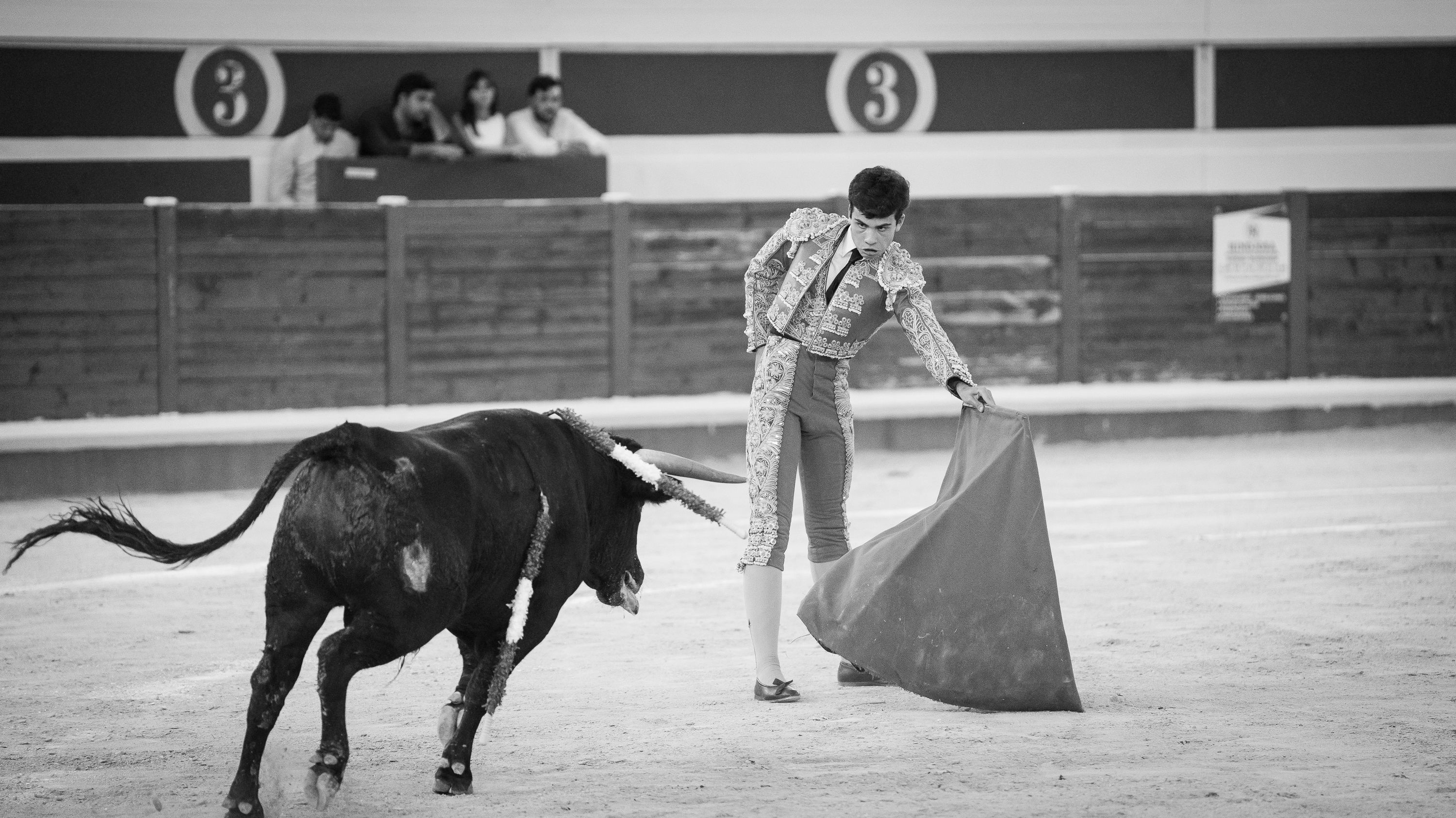 Final Ciclo Becerradas 2025 (83)