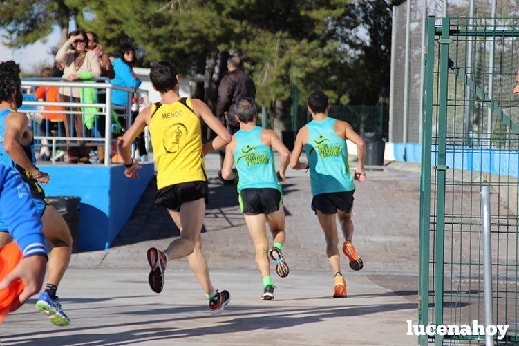 Galería: "Corre, corre, corre... Las fotos de la Carrera popular "Ciudad de Lucena" (I)