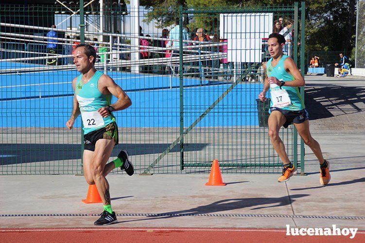 Galería: "Corre, corre, corre... Las fotos de la Carrera popular "Ciudad de Lucena" (I)