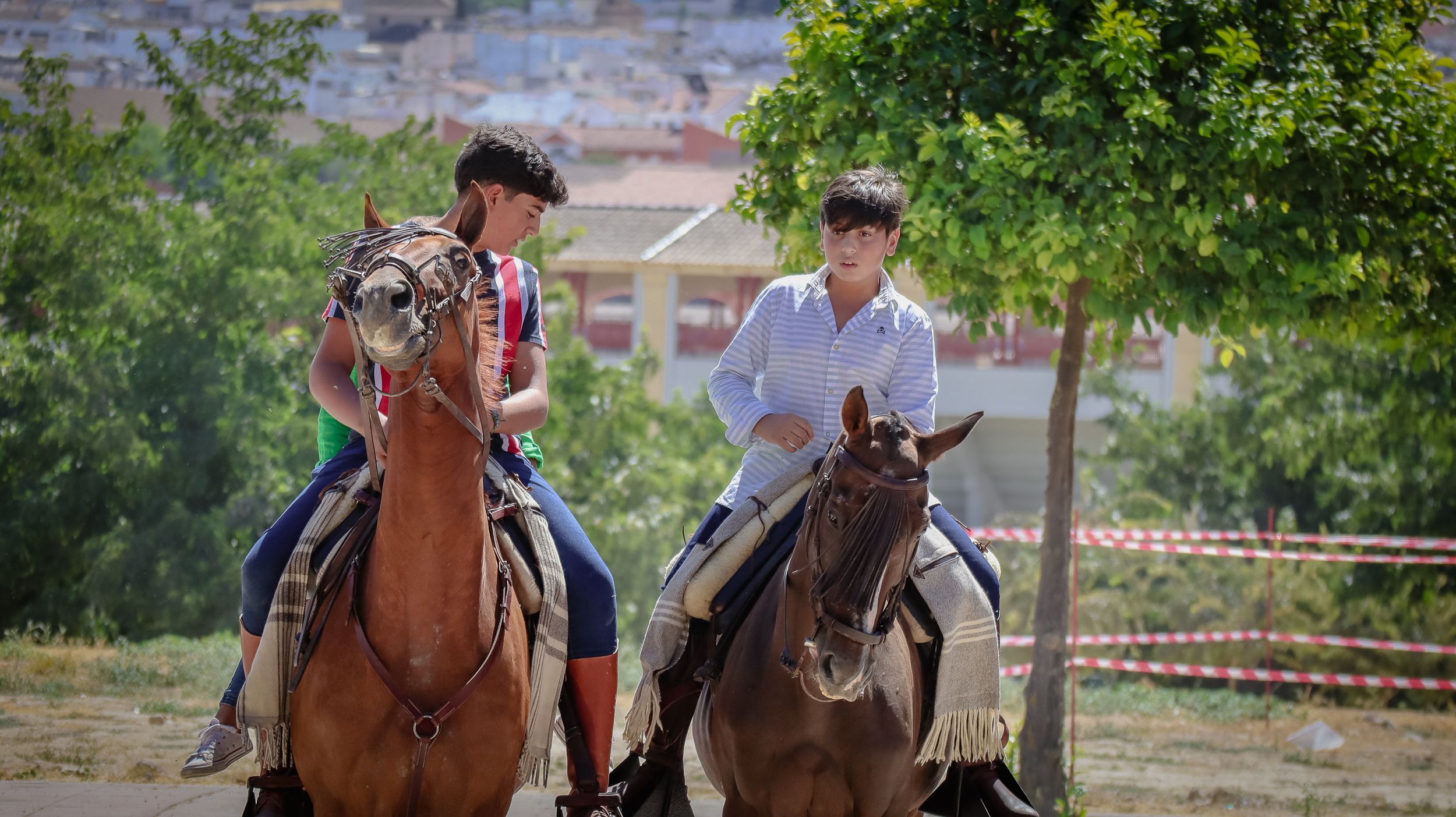 XVIII Feria del Ganado de Lucena 10
