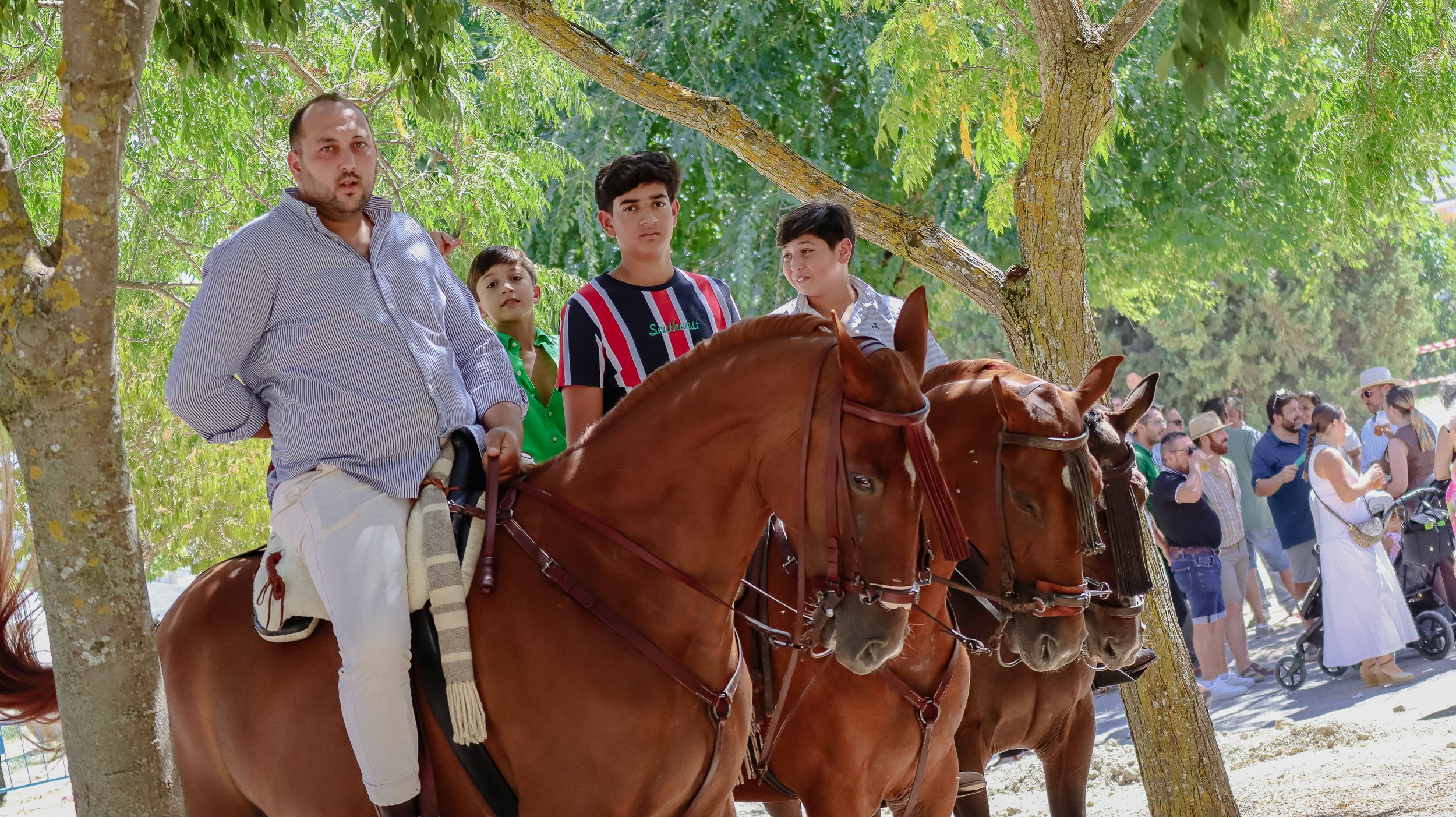 XVIII Feria del Ganado de Lucena 11