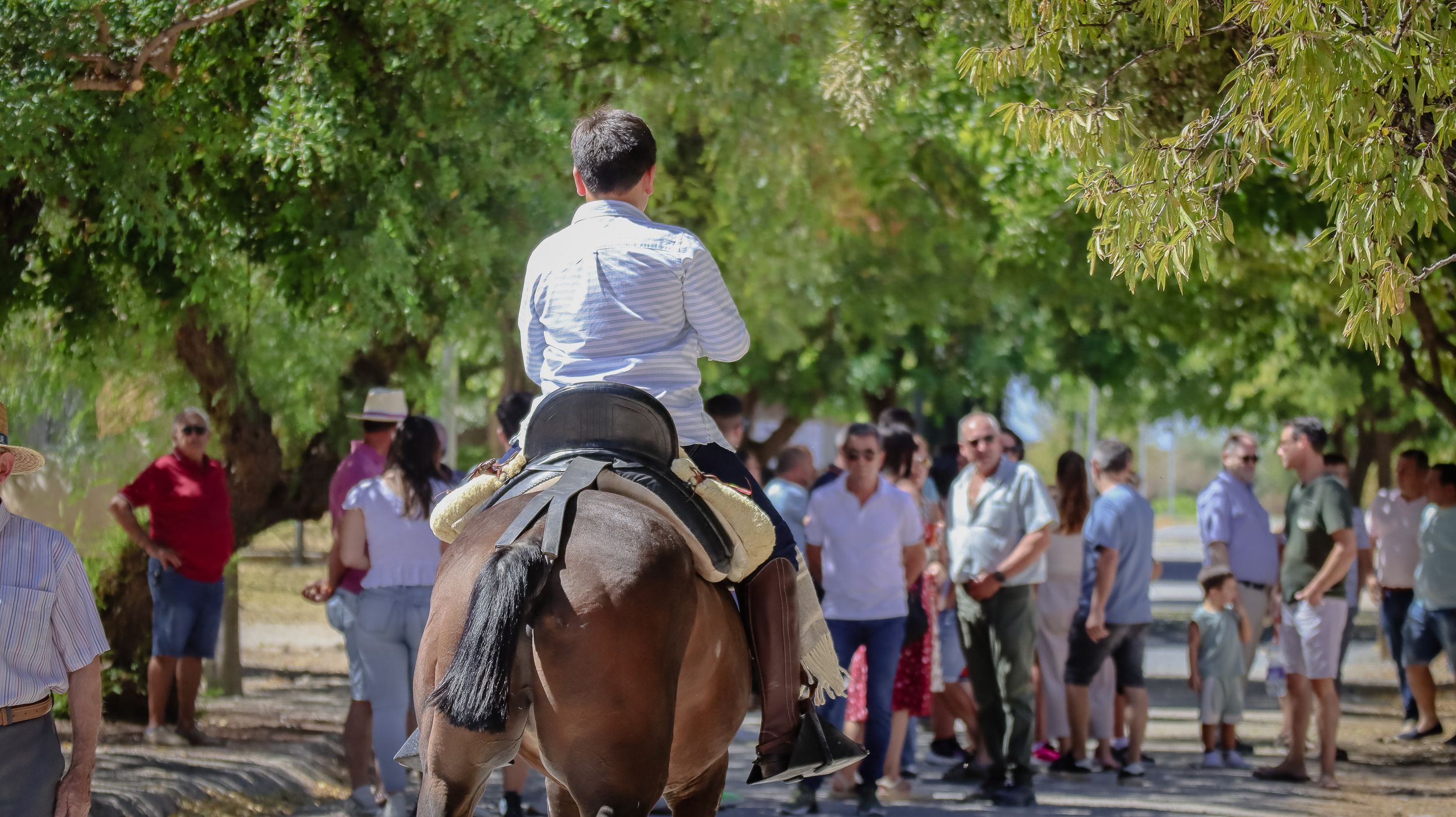 XVIII Feria del Ganado de Lucena 16