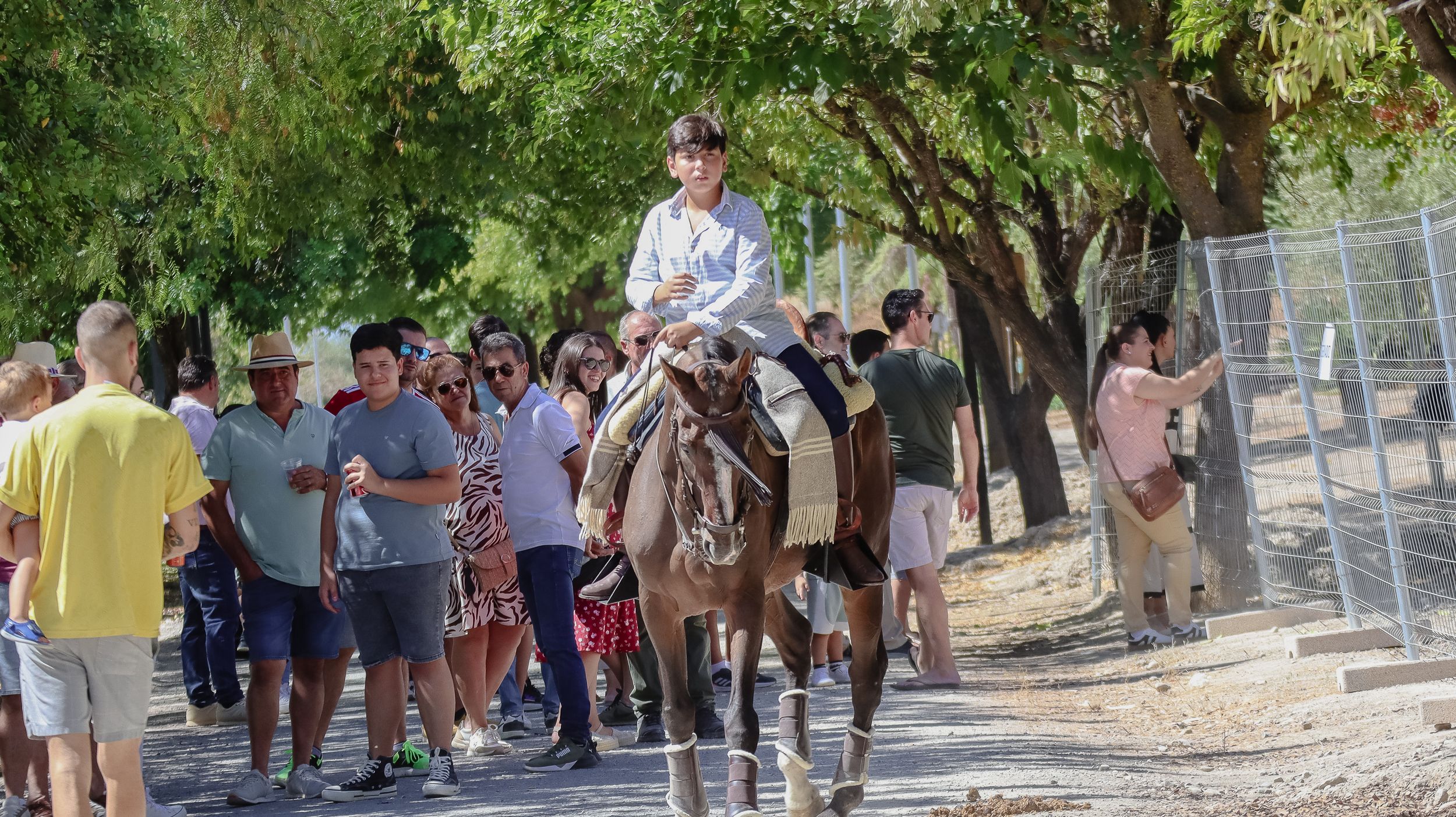 XVIII Feria del Ganado de Lucena 19