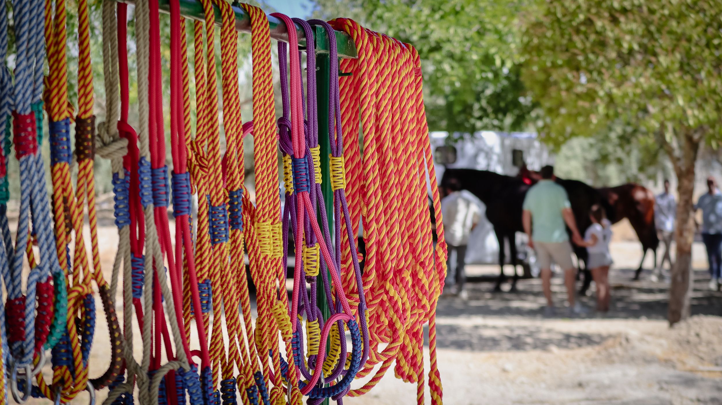 XVIII Feria del Ganado de Lucena 22