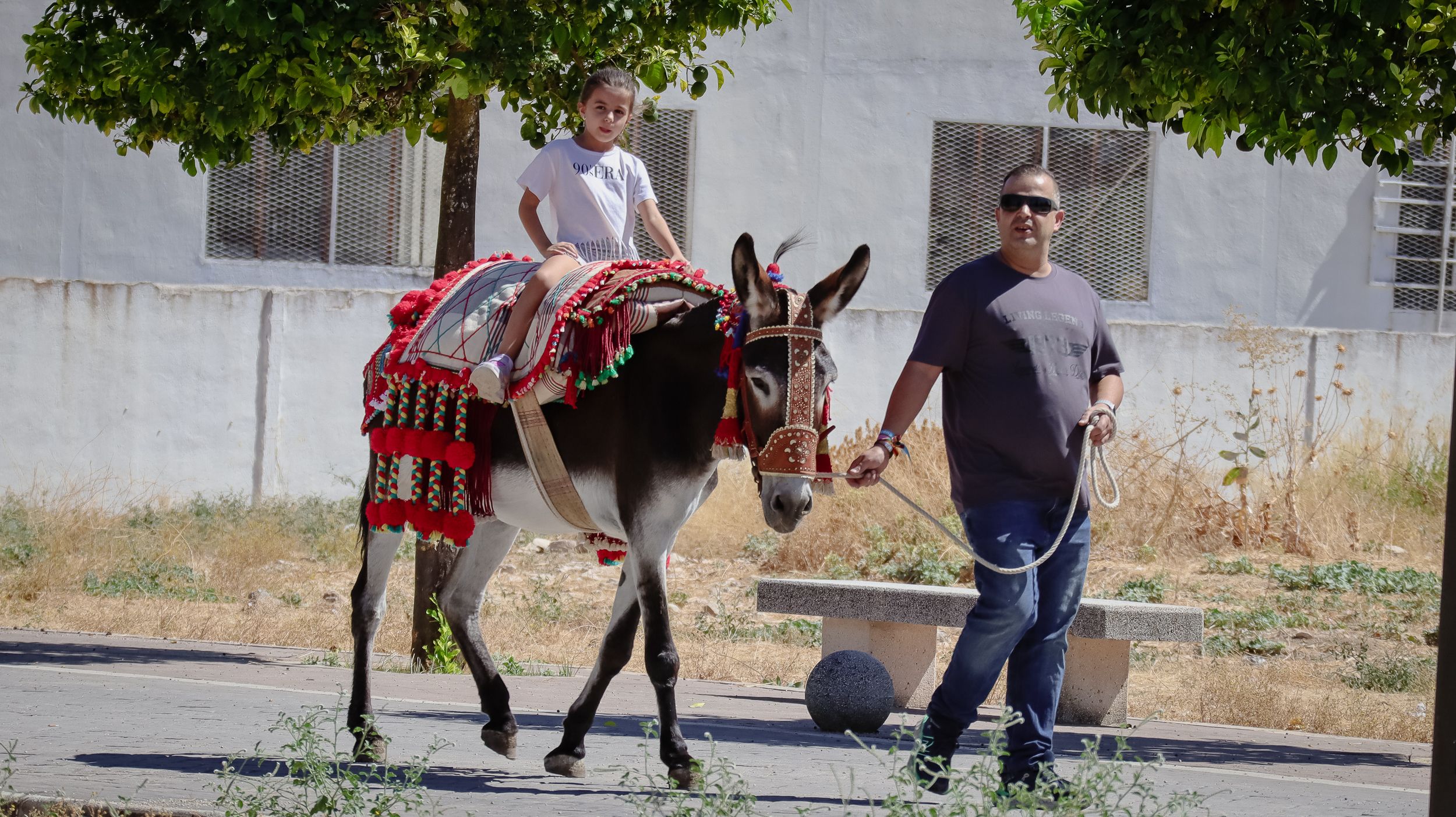 XVIII Feria del Ganado de Lucena 24