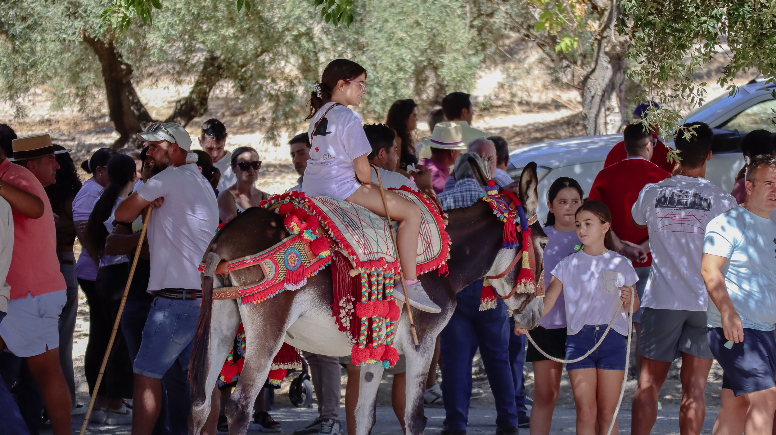 XVIII Feria del Ganado de Lucena 31