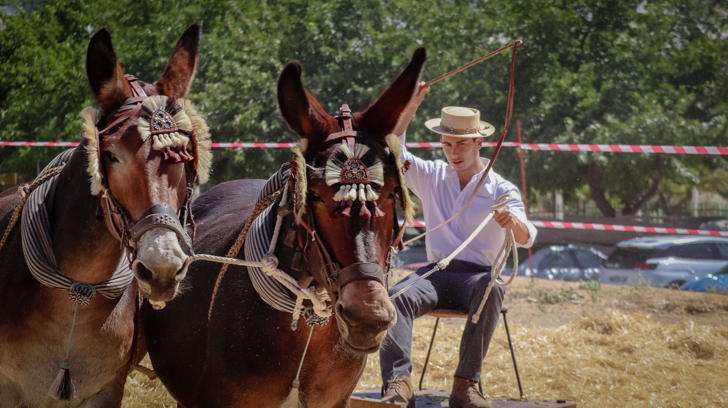 XVIII Feria del Ganado de Lucena 40