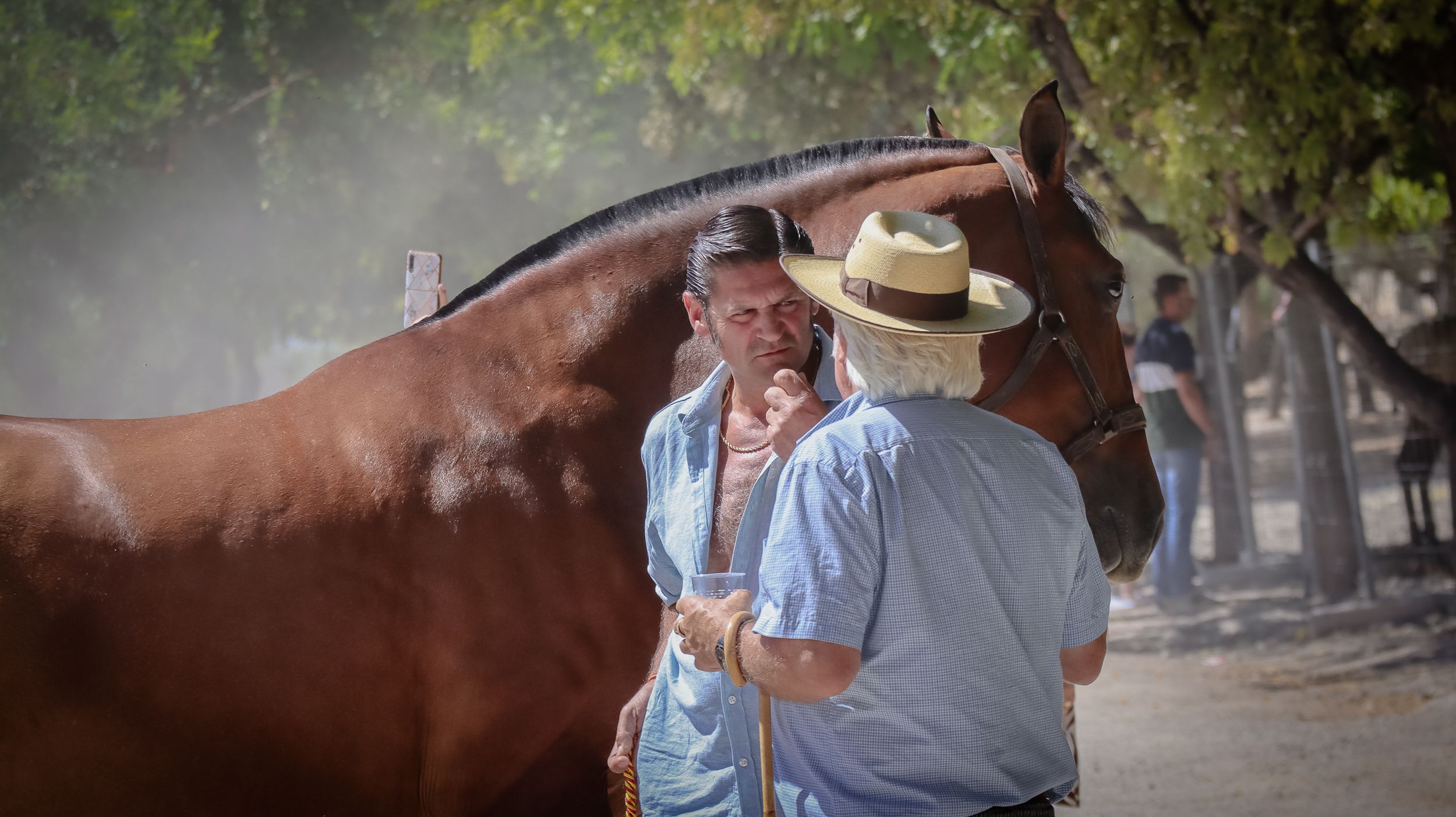 XVIII Feria del Ganado de Lucena 56