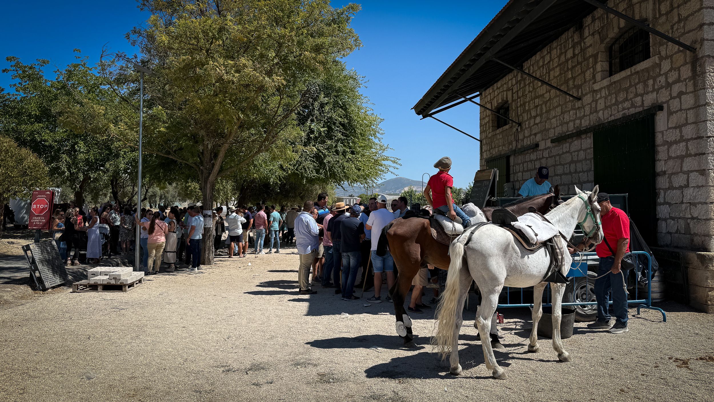 XVIII Feria del Ganado de Lucena 58