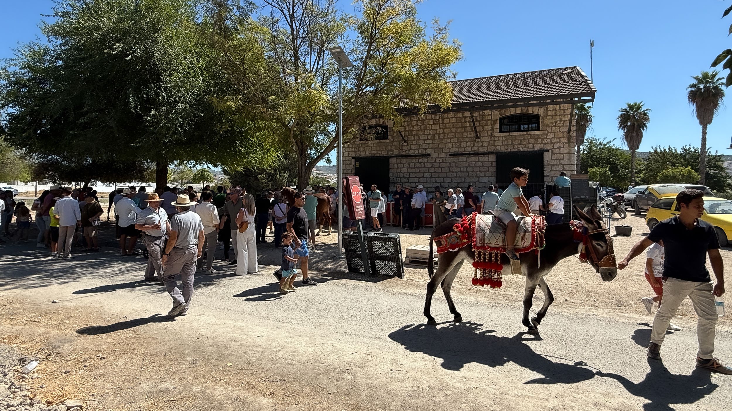 XVIII Feria del Ganado de Lucena 60