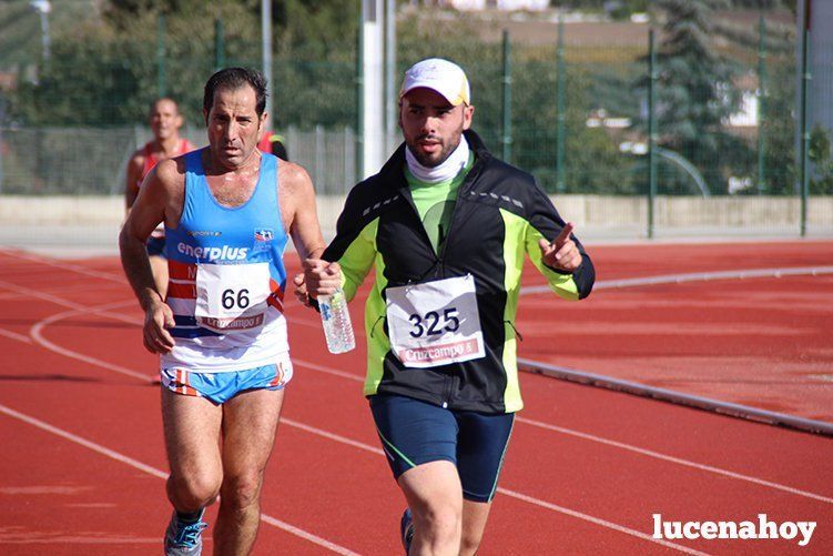 Galería: "Corre, corre, corre... Las fotos de la Carrera popular "Ciudad de Lucena" (I)